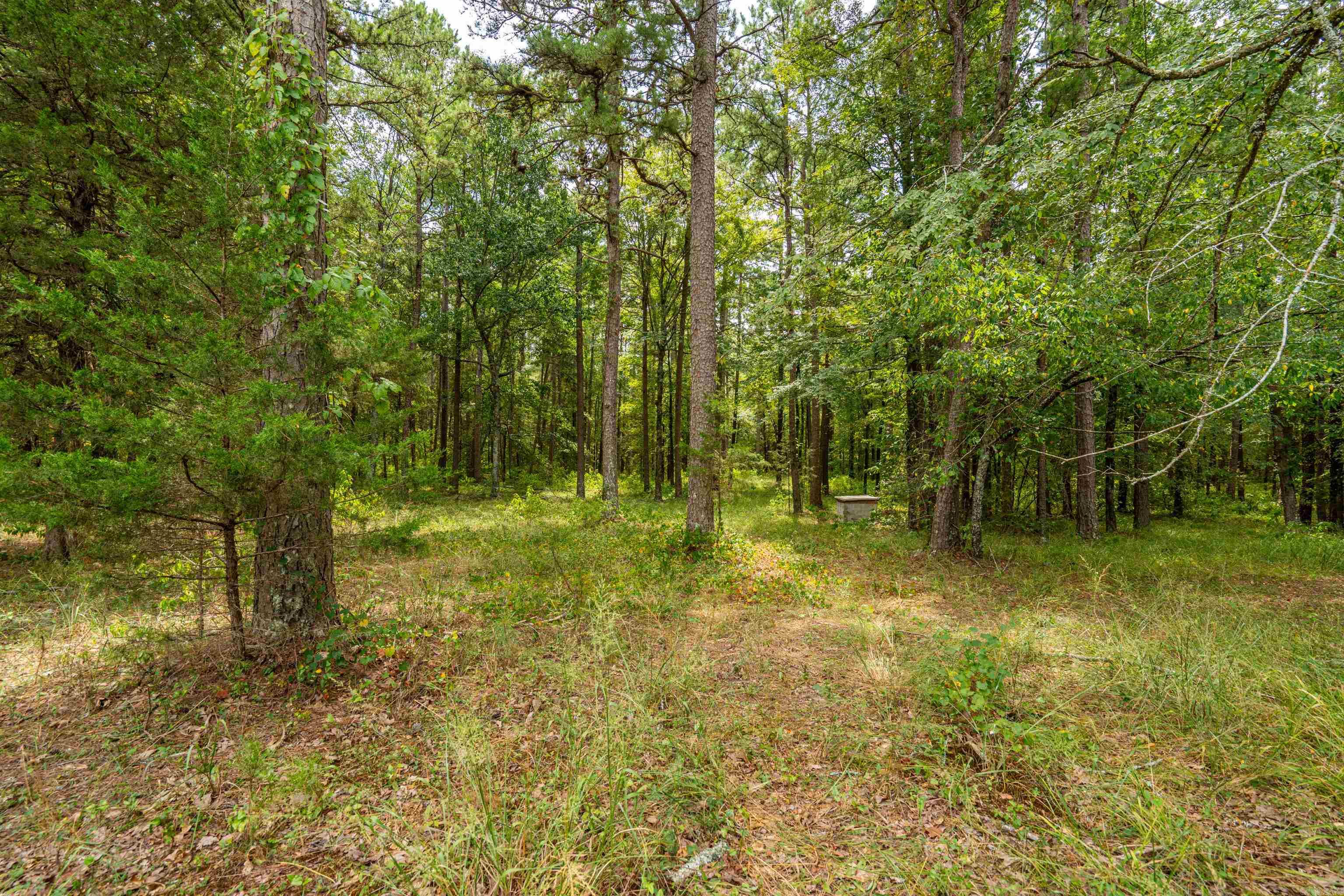 988 Tabor Mountain Road Property Photo 48