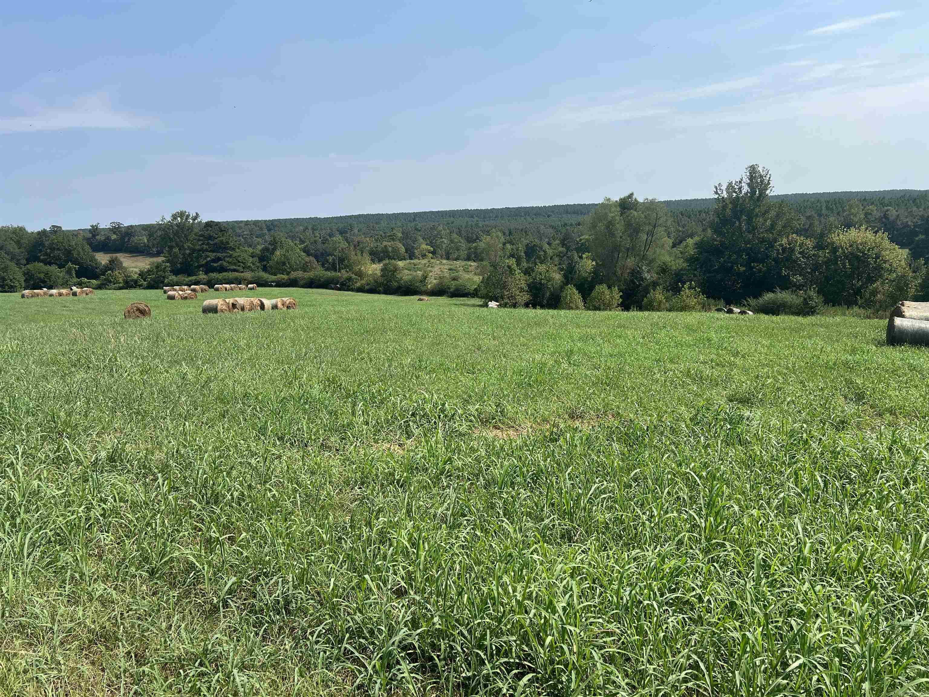 Xx Hwy 84 Property Photo 1