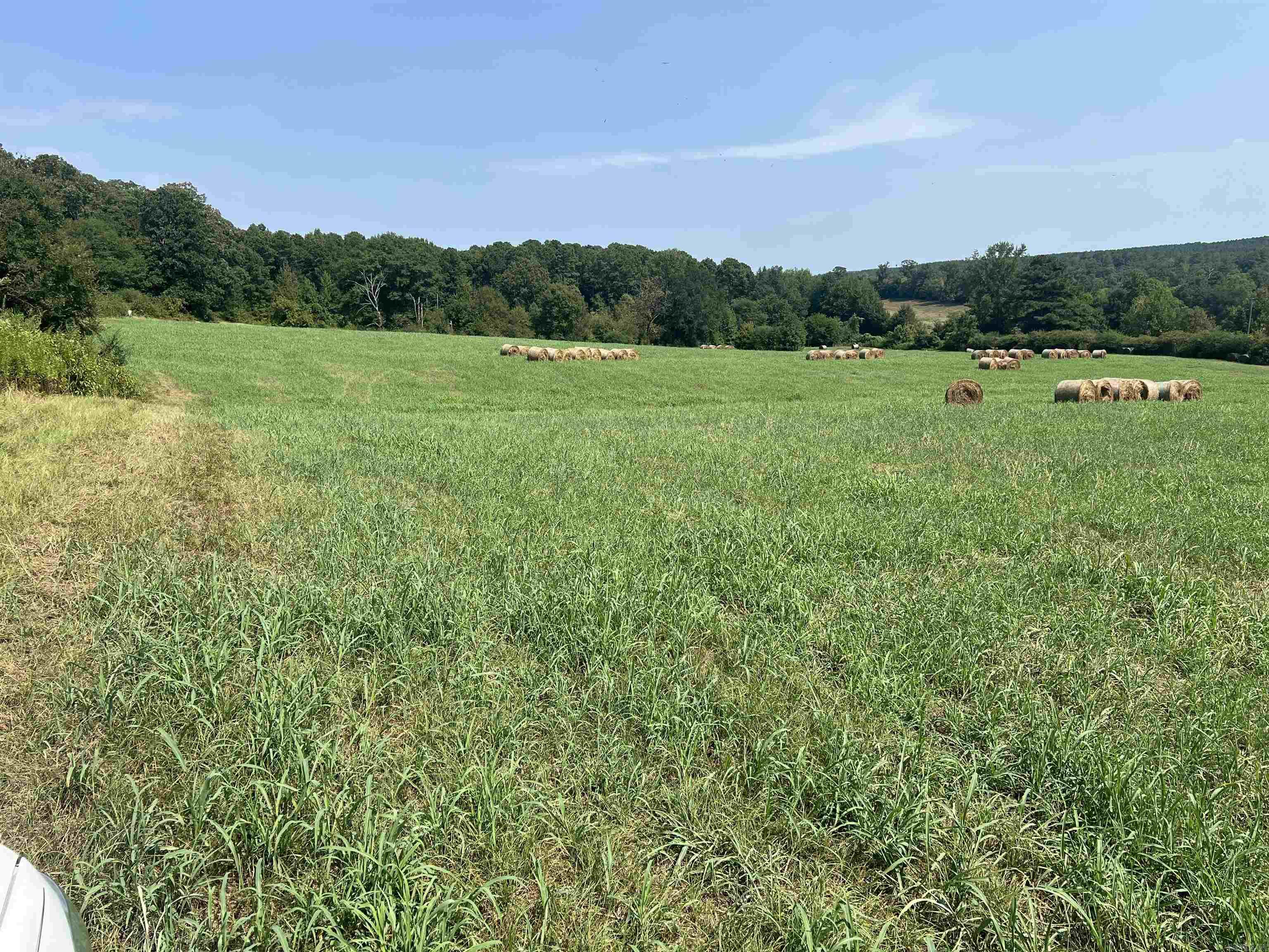 Xx Hwy 84 Property Photo 8