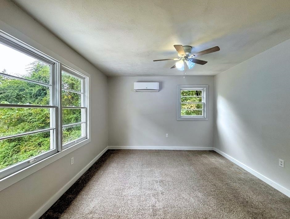 6 Powhatan Drive Property Photo 19
