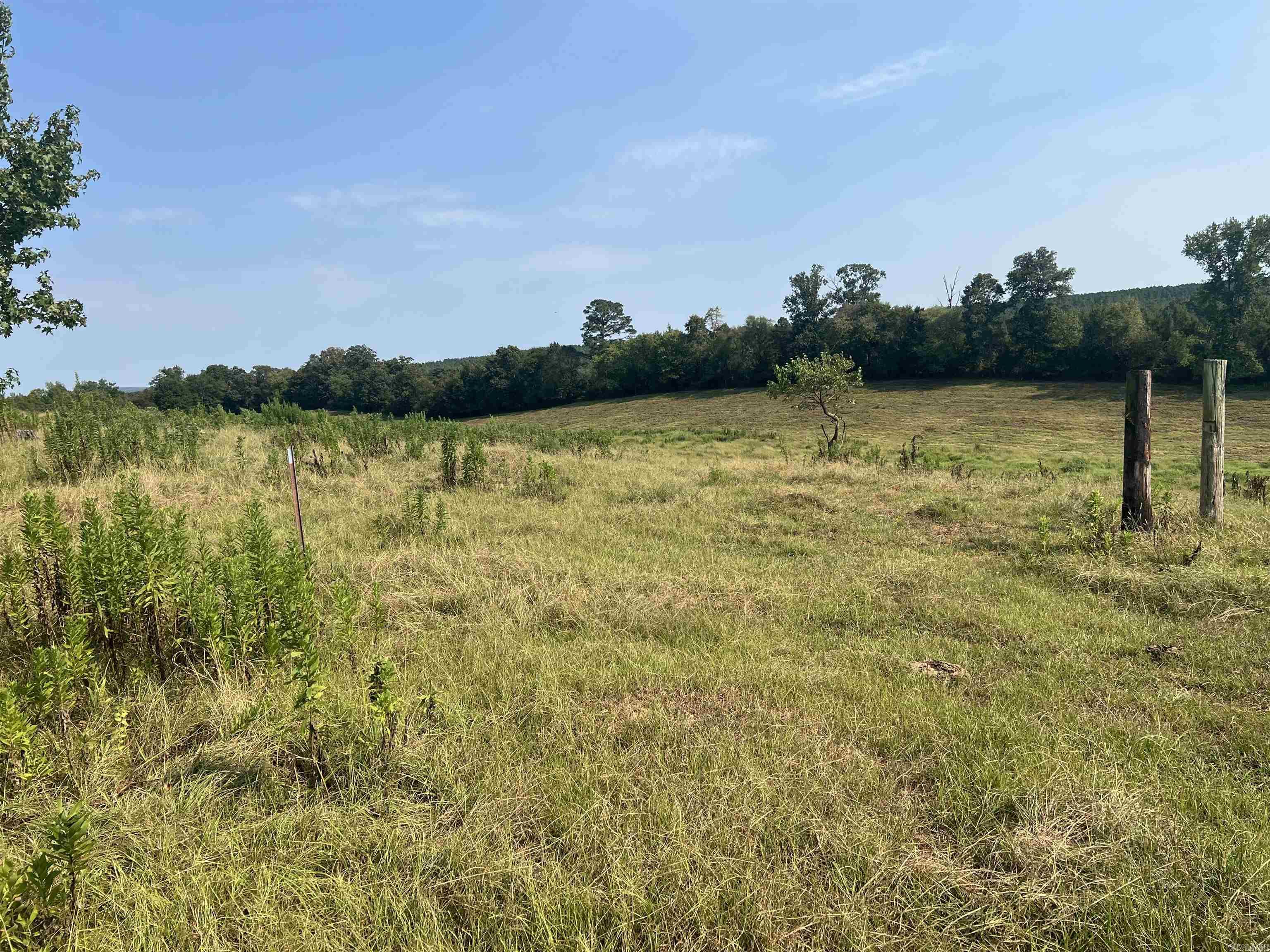Xx W Hwy 84 Property Photo 7