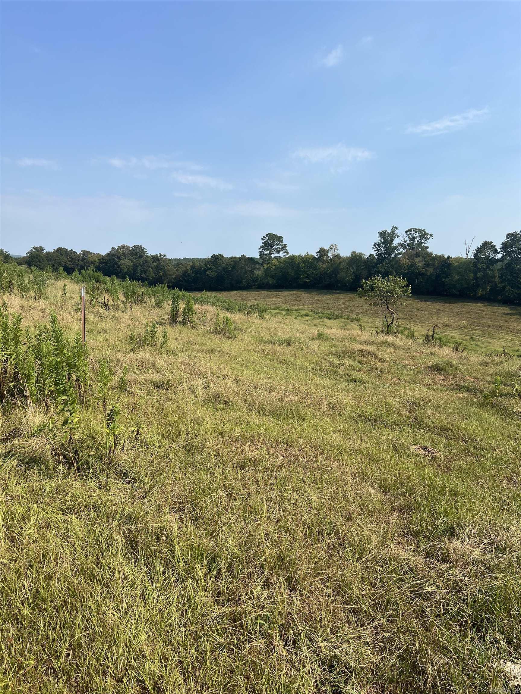 Xx W Hwy 84 Property Photo 10