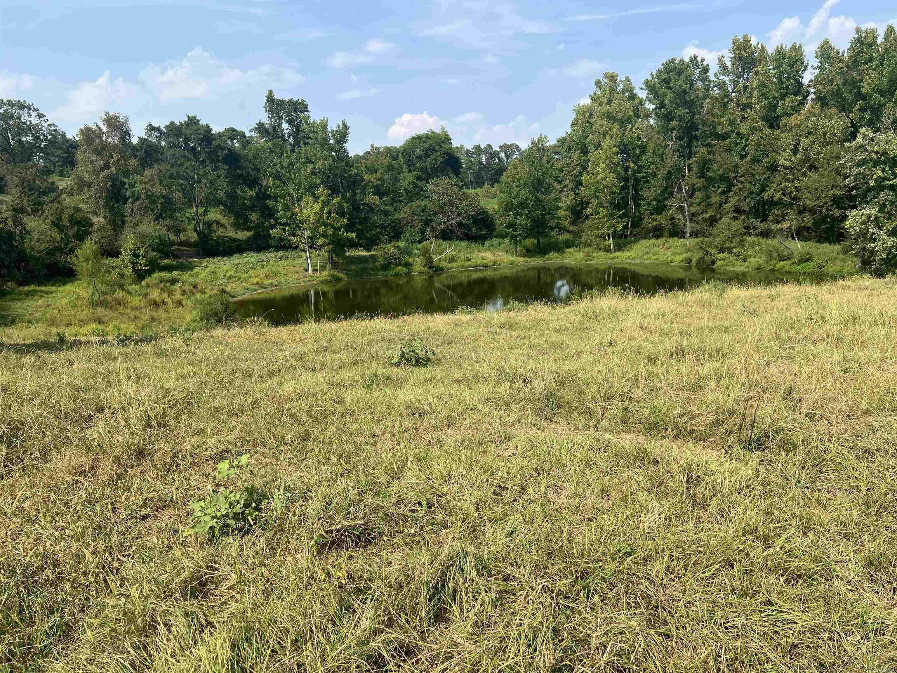 Xx W Hwy 84 Property Photo 13