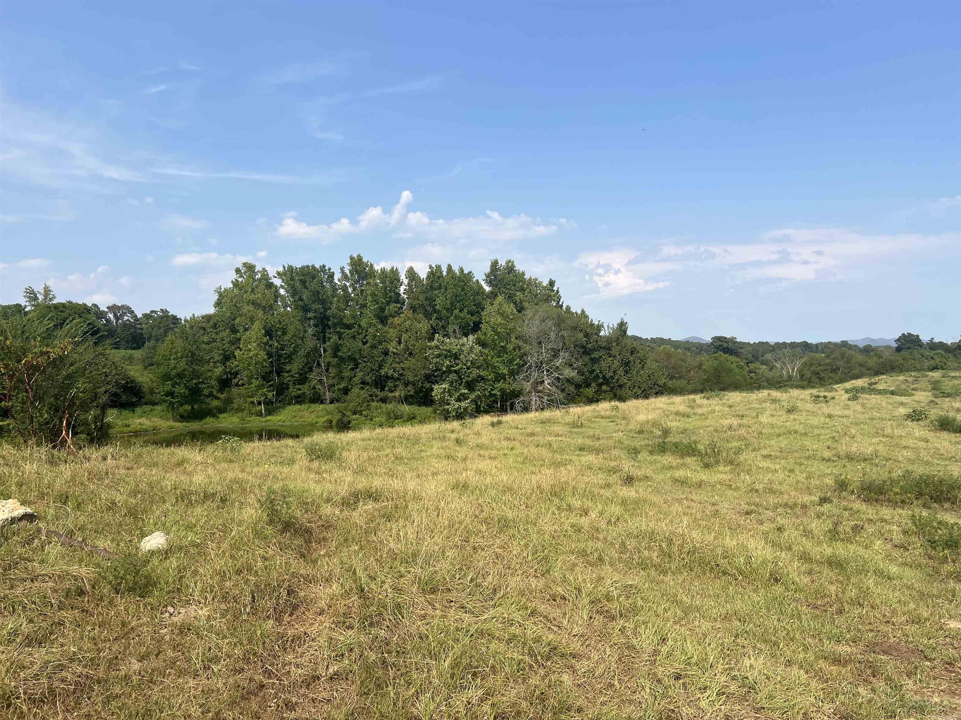 Xx W Hwy 84 Property Photo 14