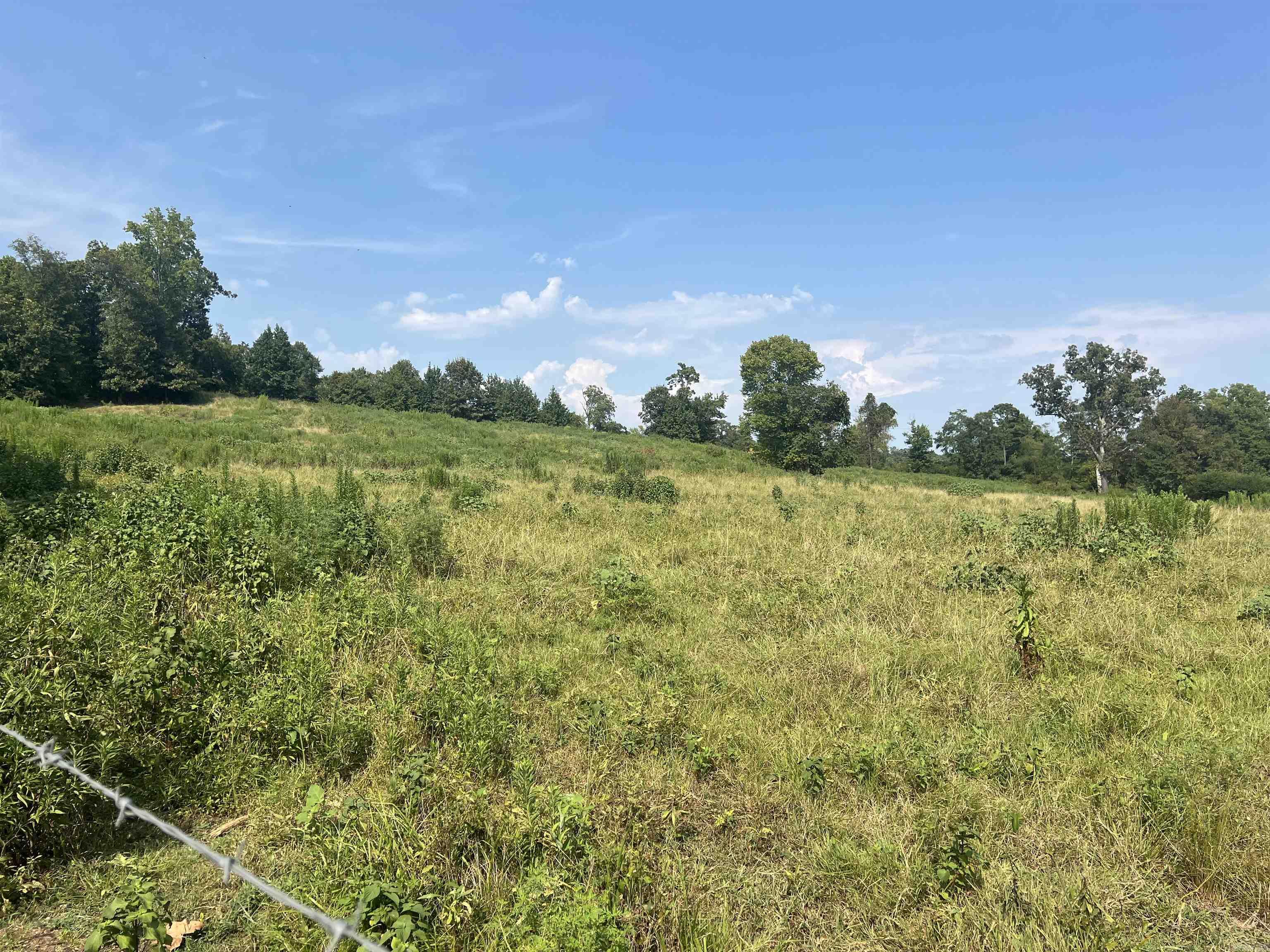 Xx W Hwy 84 Property Photo 17