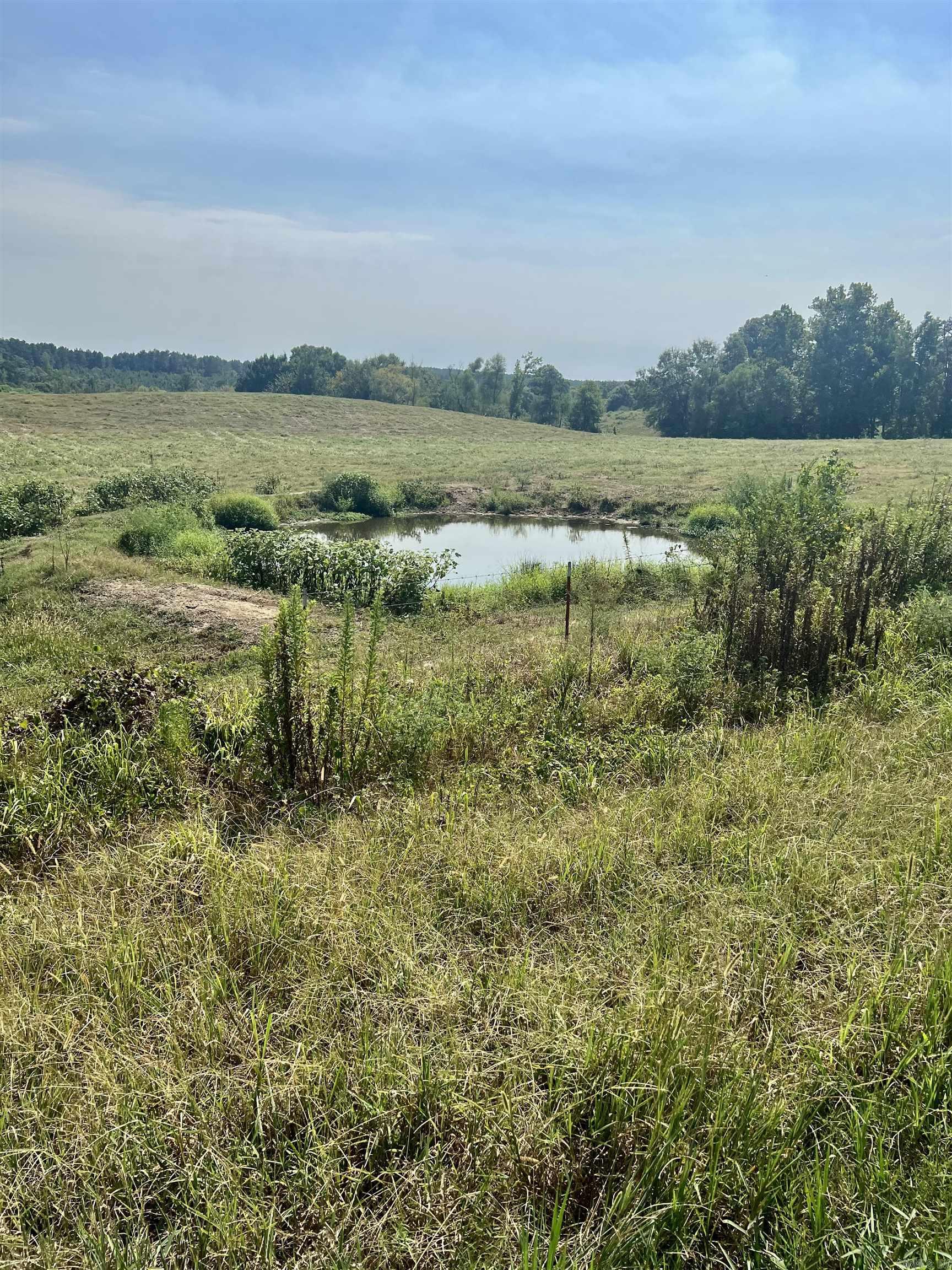 Xx W Hwy 84 Property Photo 25