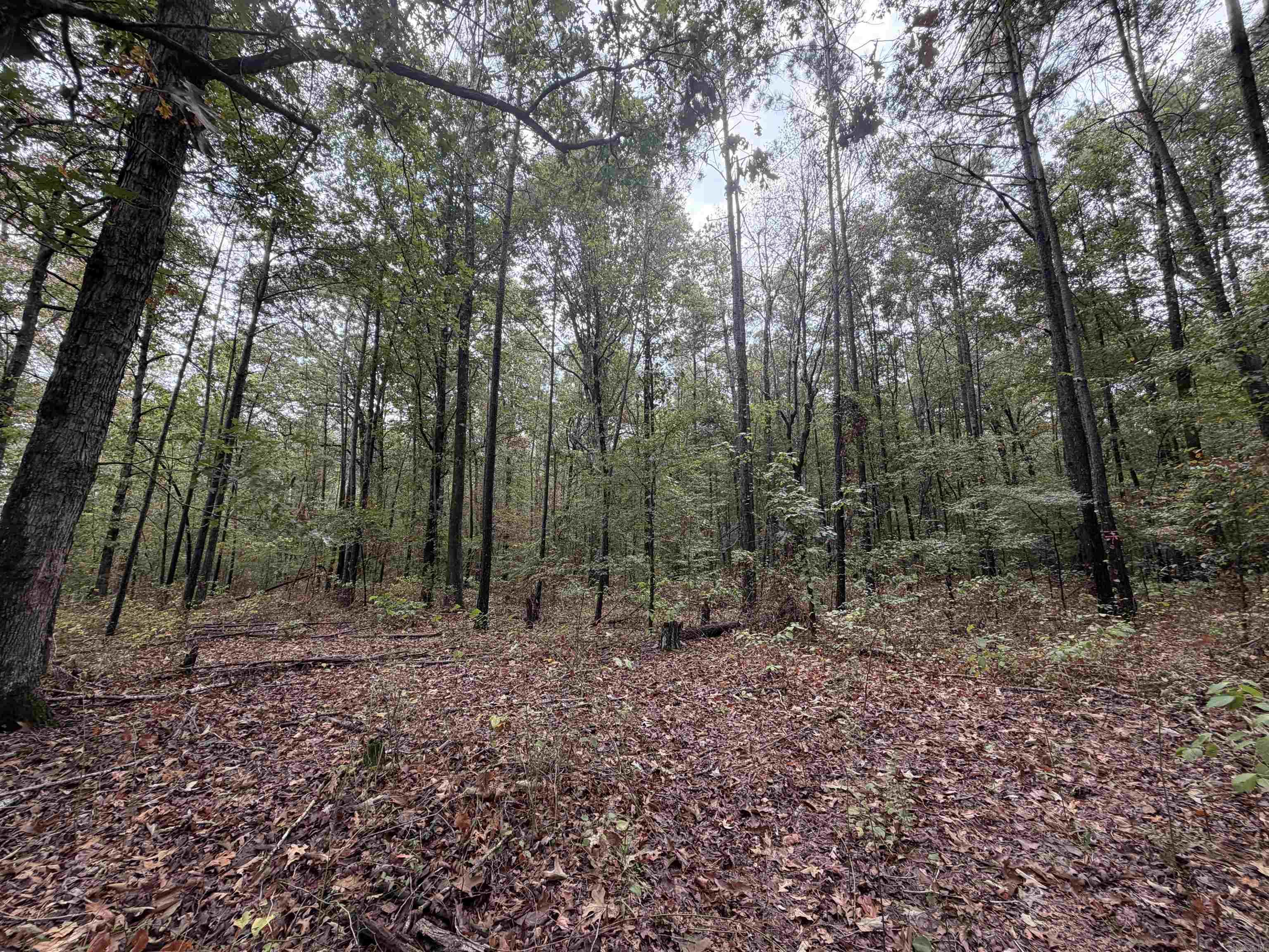 000 Smith Rd Property Photo 2