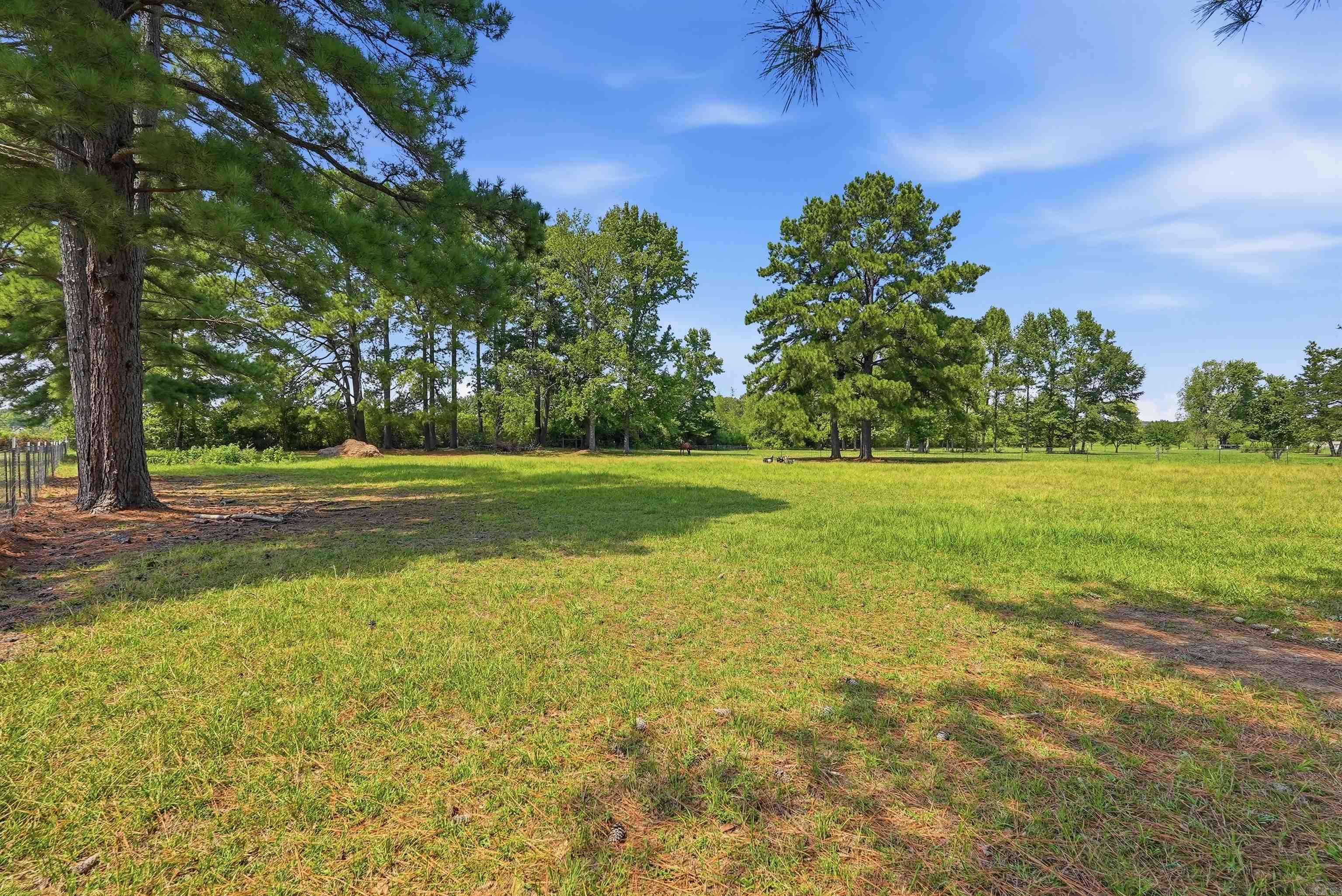 34 Janski Ln Property Photo 29