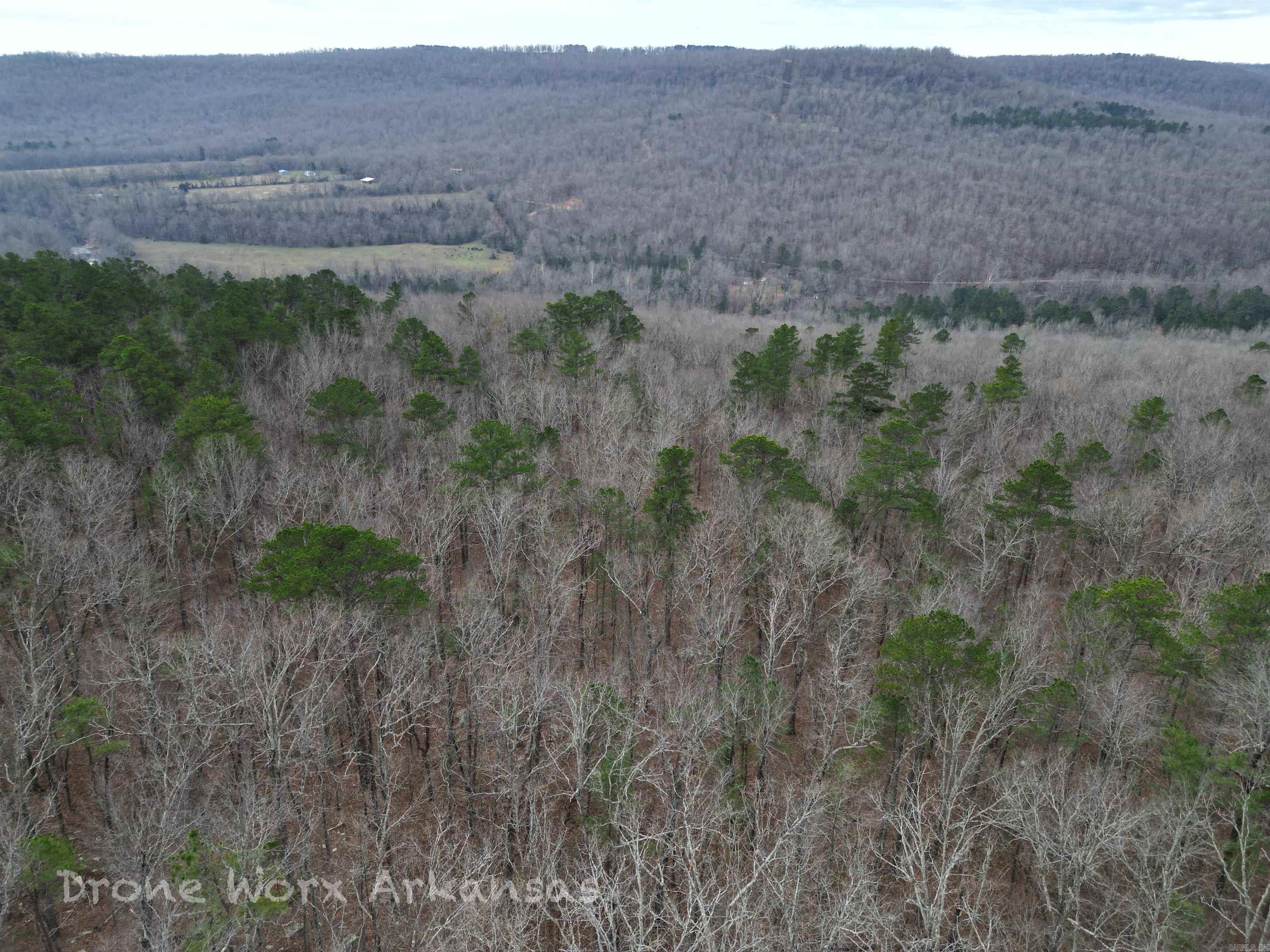 1872 Little Red River Road Property Photo 3