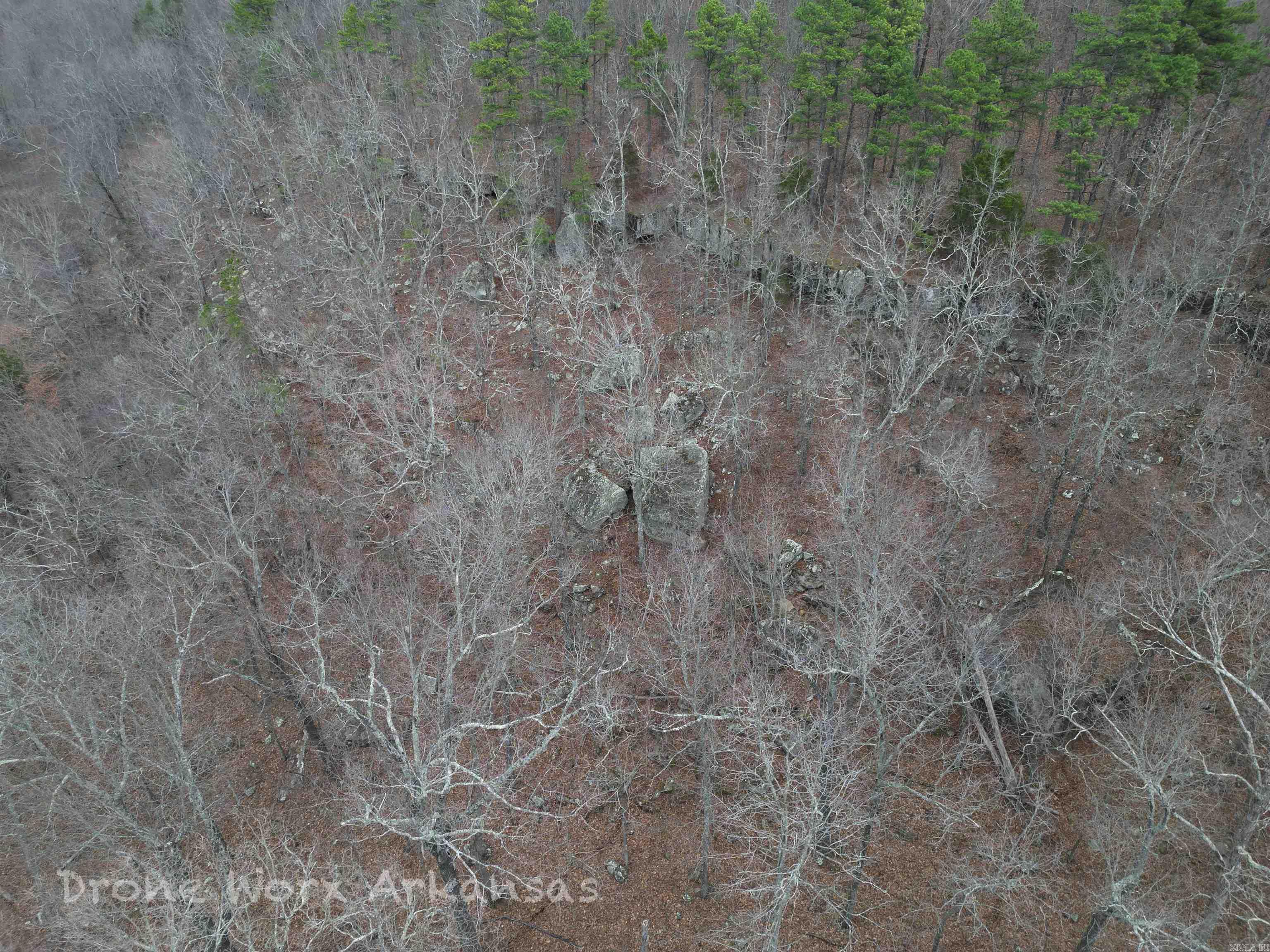 1872 Little Red River Road Property Photo 5