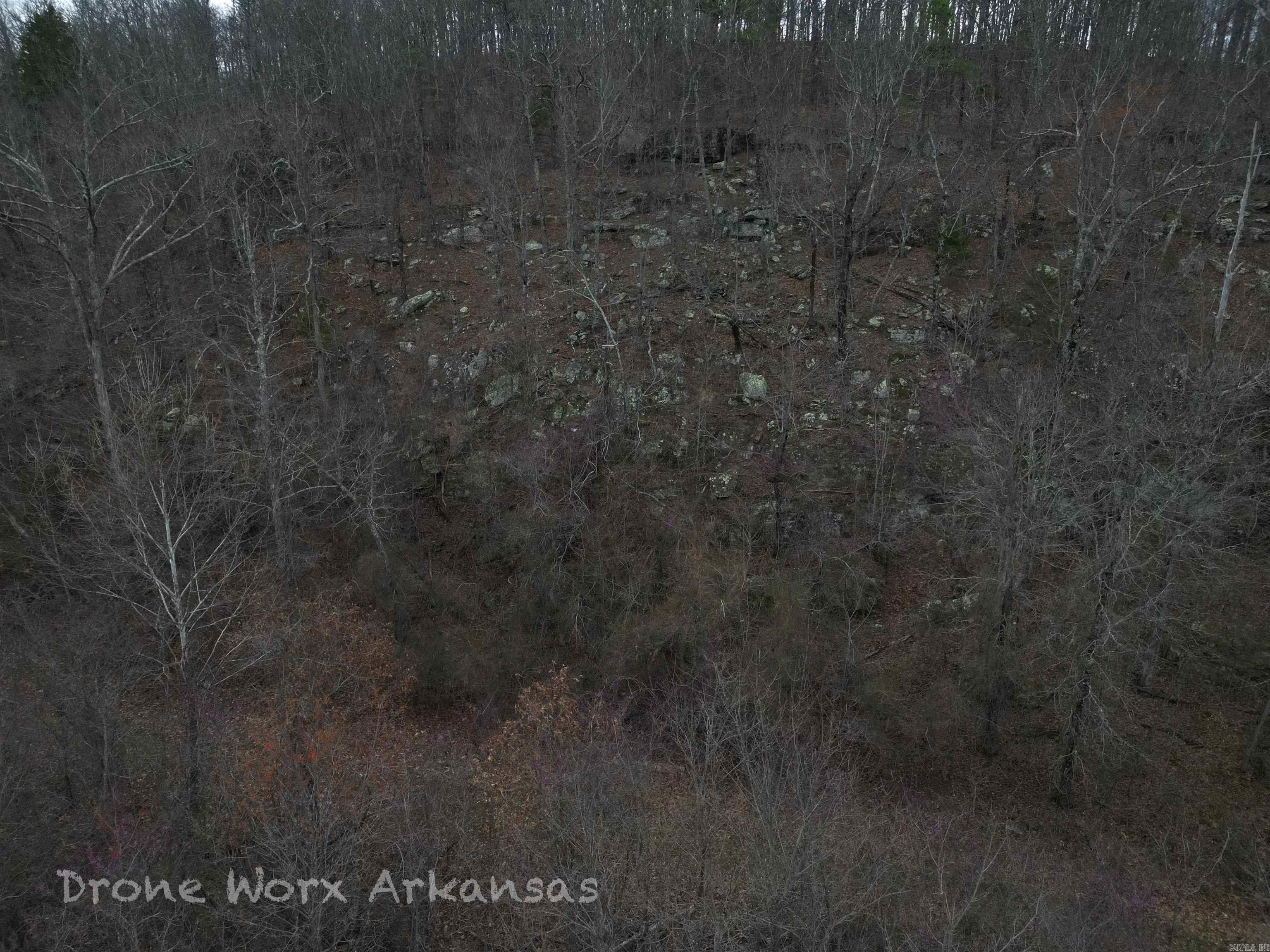 1872 Little Red River Road Property Photo 6