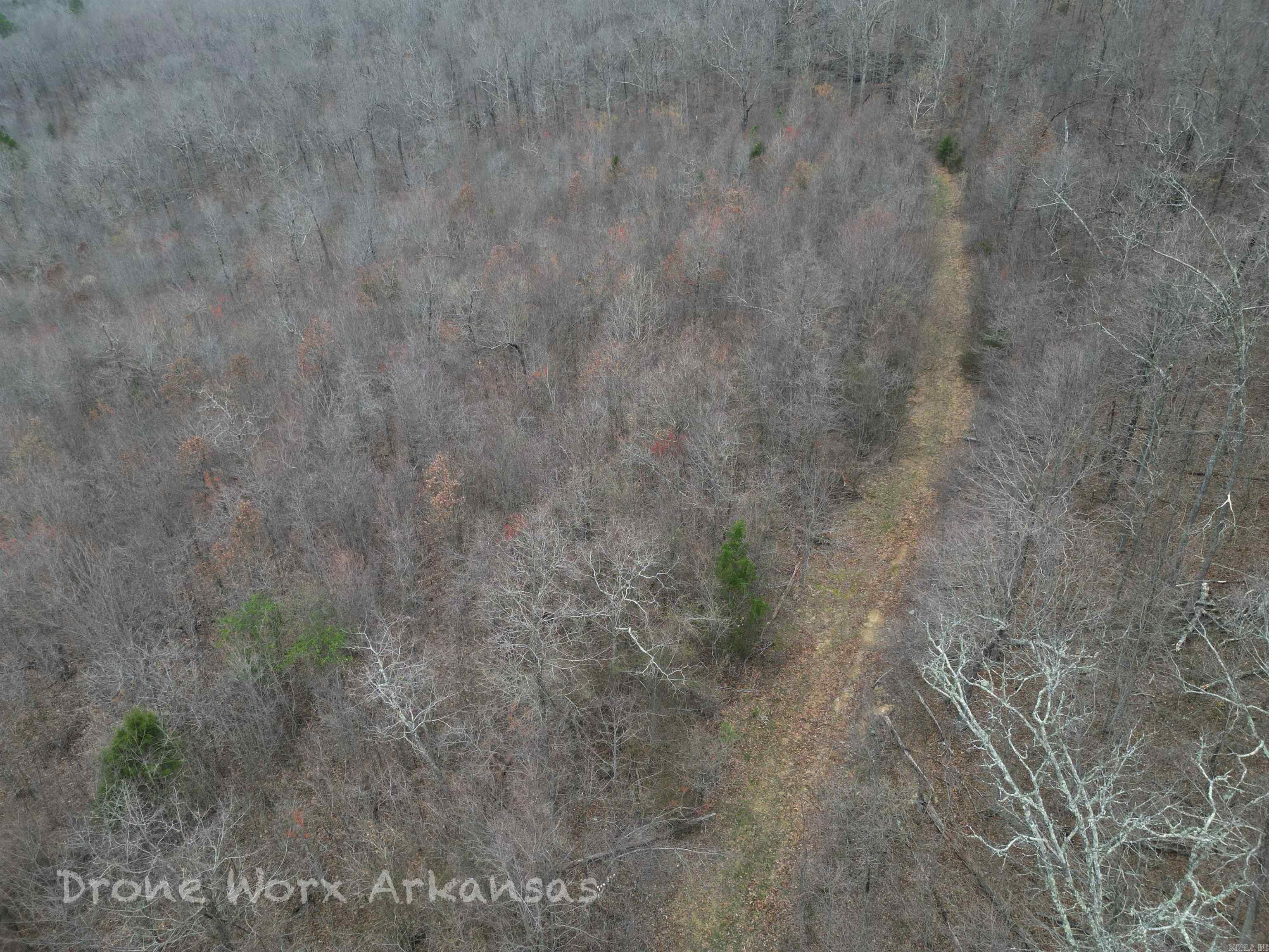 1872 Little Red River Road Property Photo 7