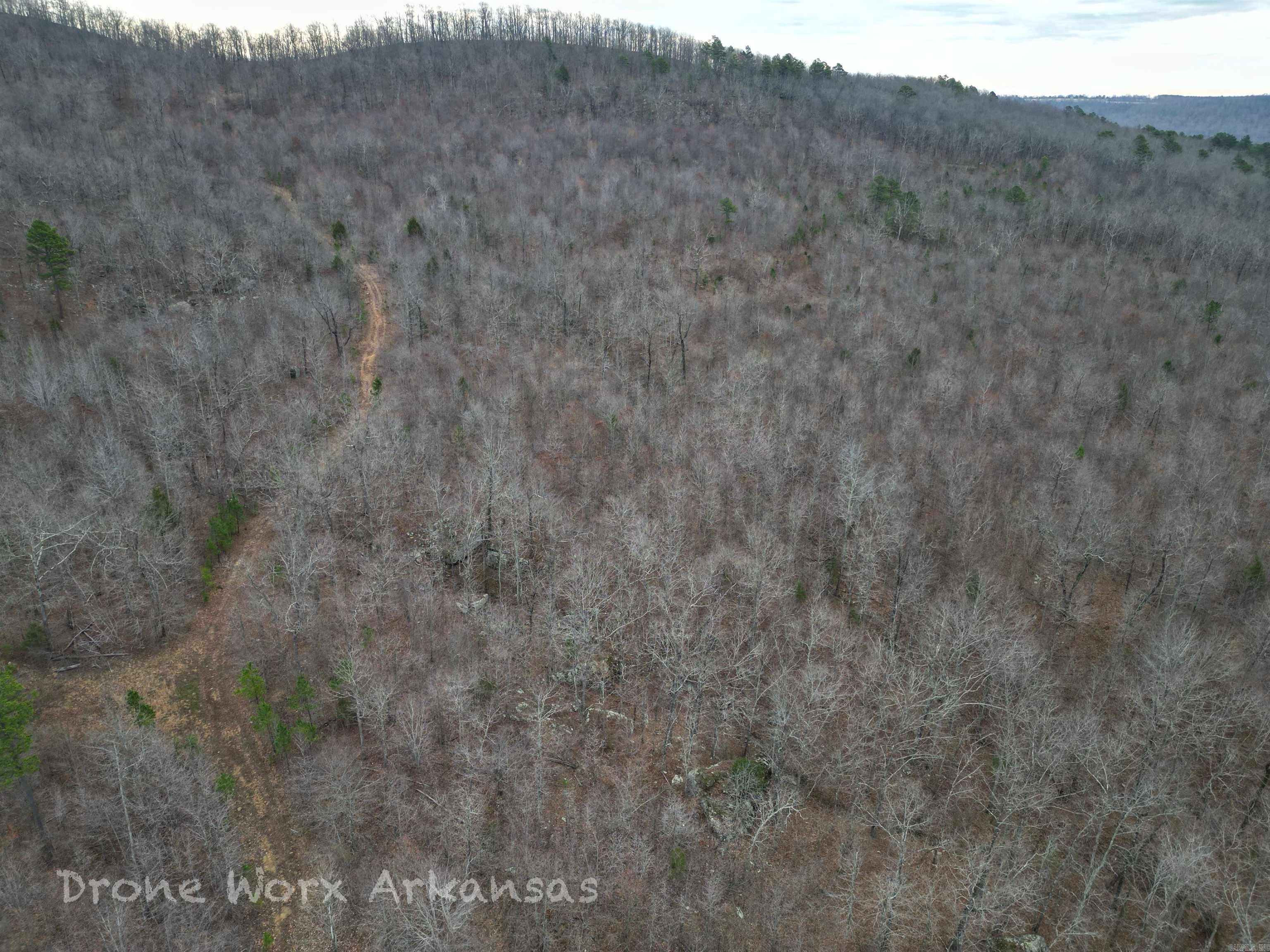 1872 Little Red River Road Property Photo 10