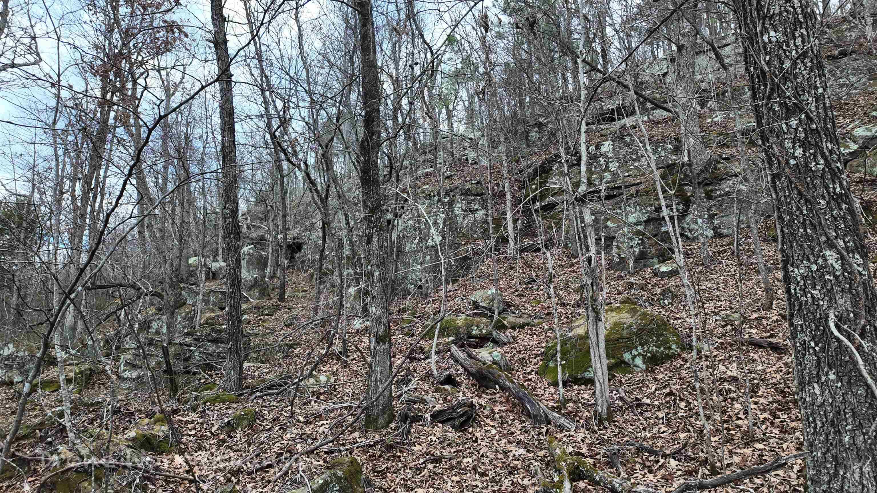 1872 Little Red River Road Property Photo 13