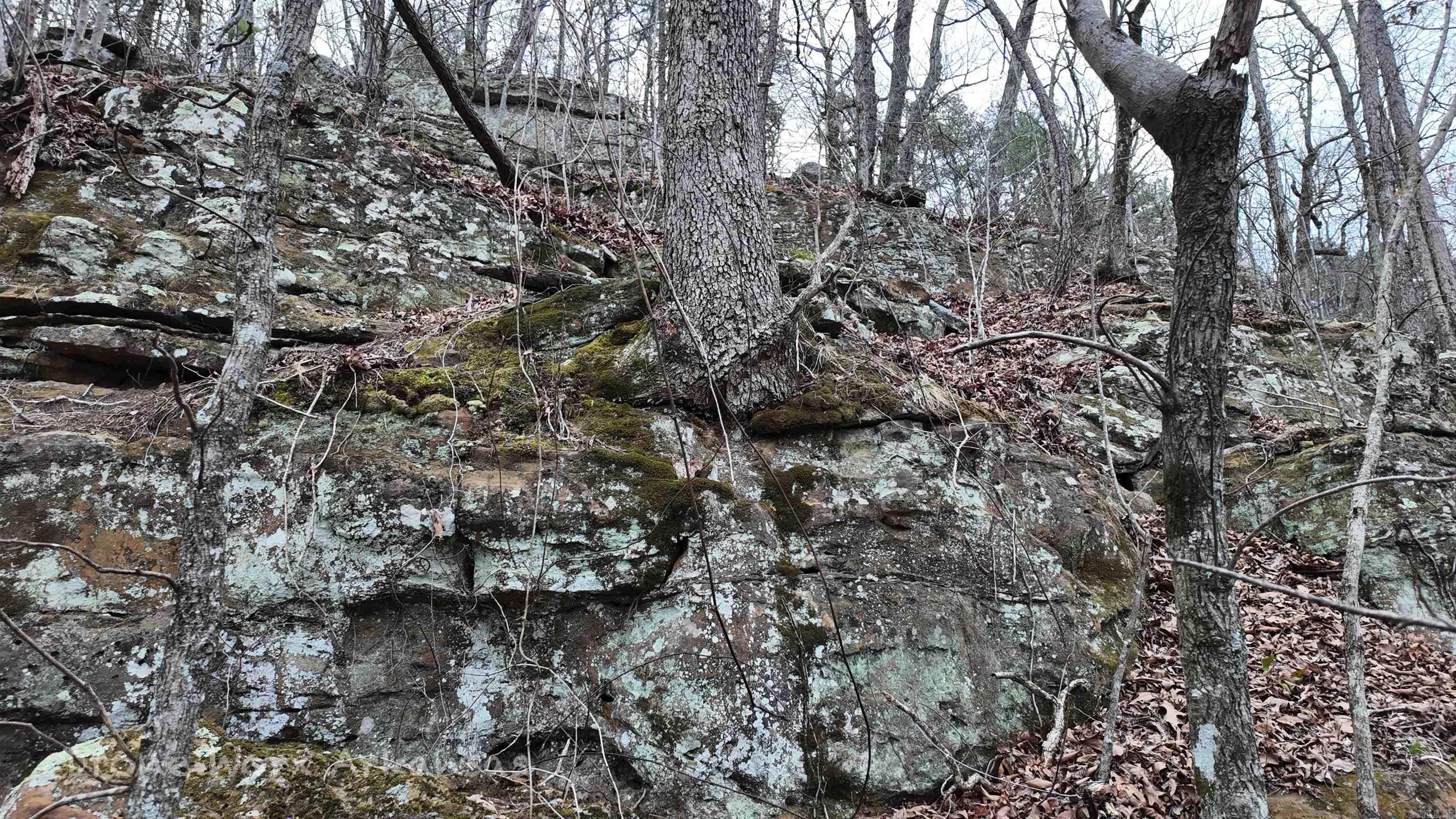 1872 Little Red River Road Property Photo 14