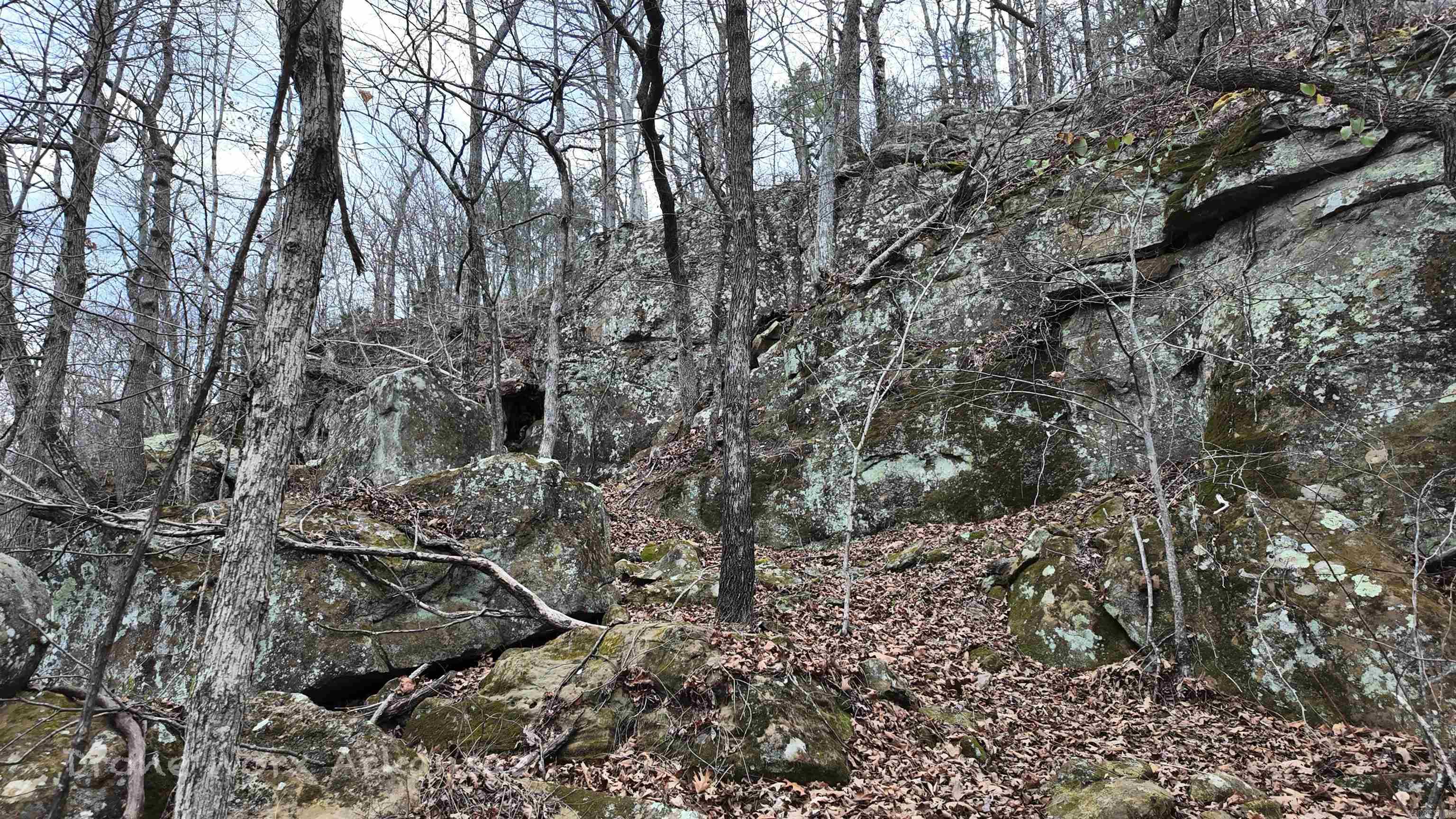 1872 Little Red River Road Property Photo 16