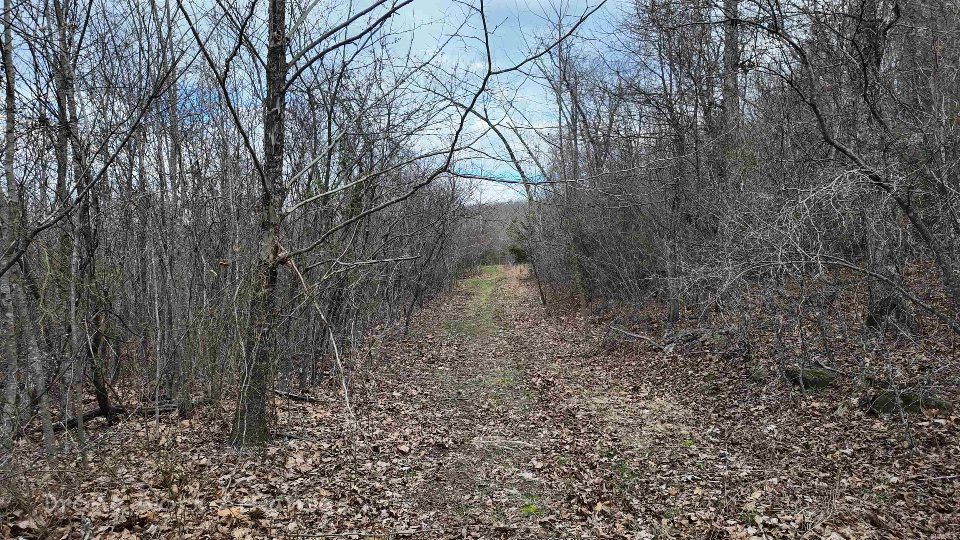 1872 Little Red River Road Property Photo 17