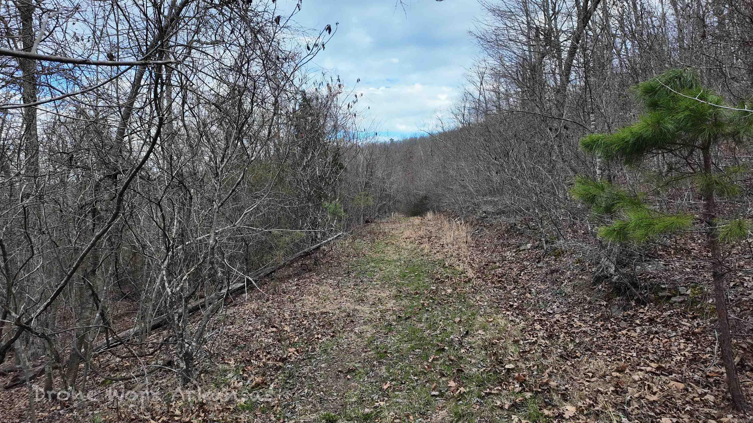 1872 Little Red River Road Property Photo 18