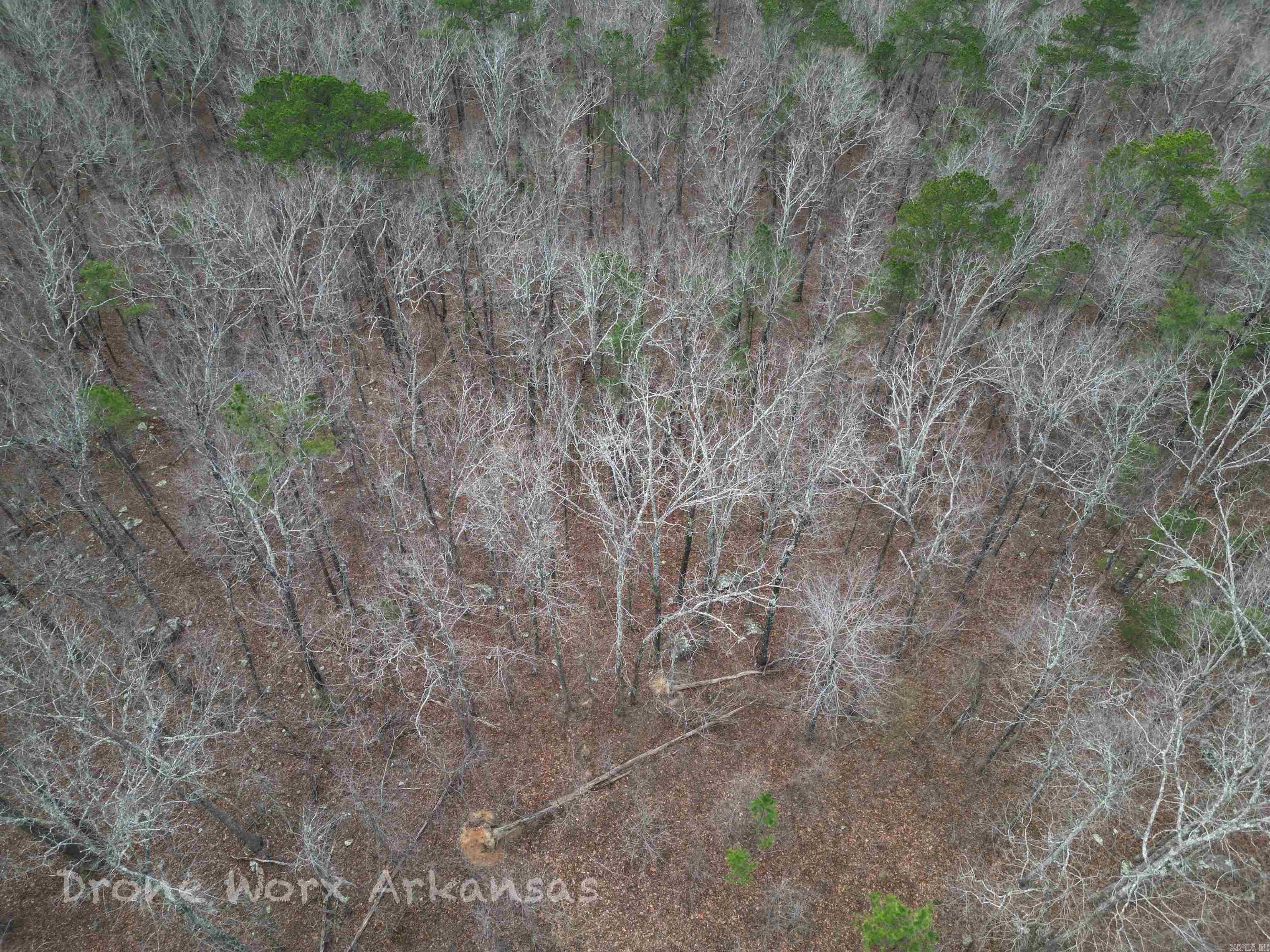 1872 Little Red River Road Property Photo 31