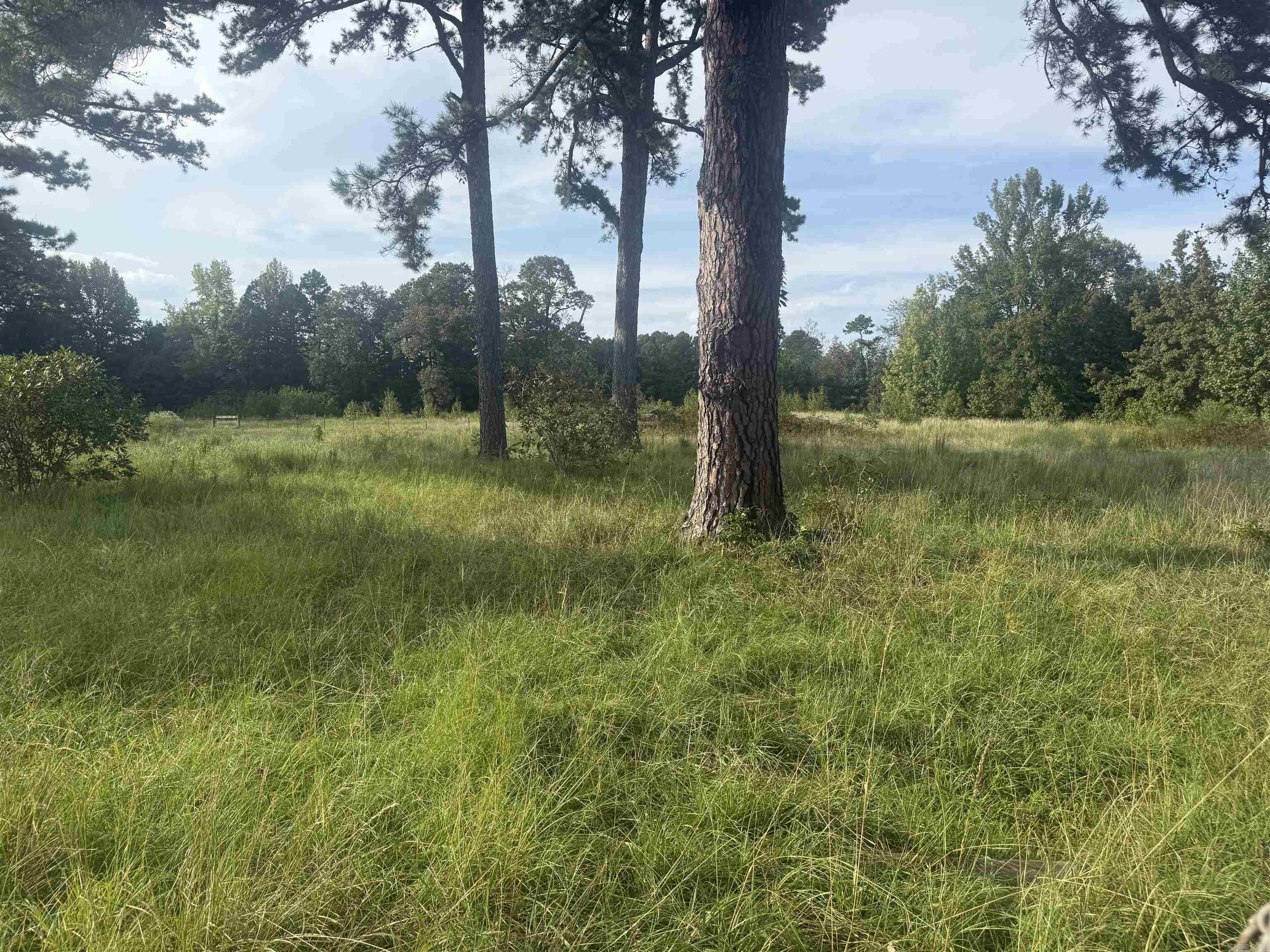11117 Highway 92 East Property Photo 7