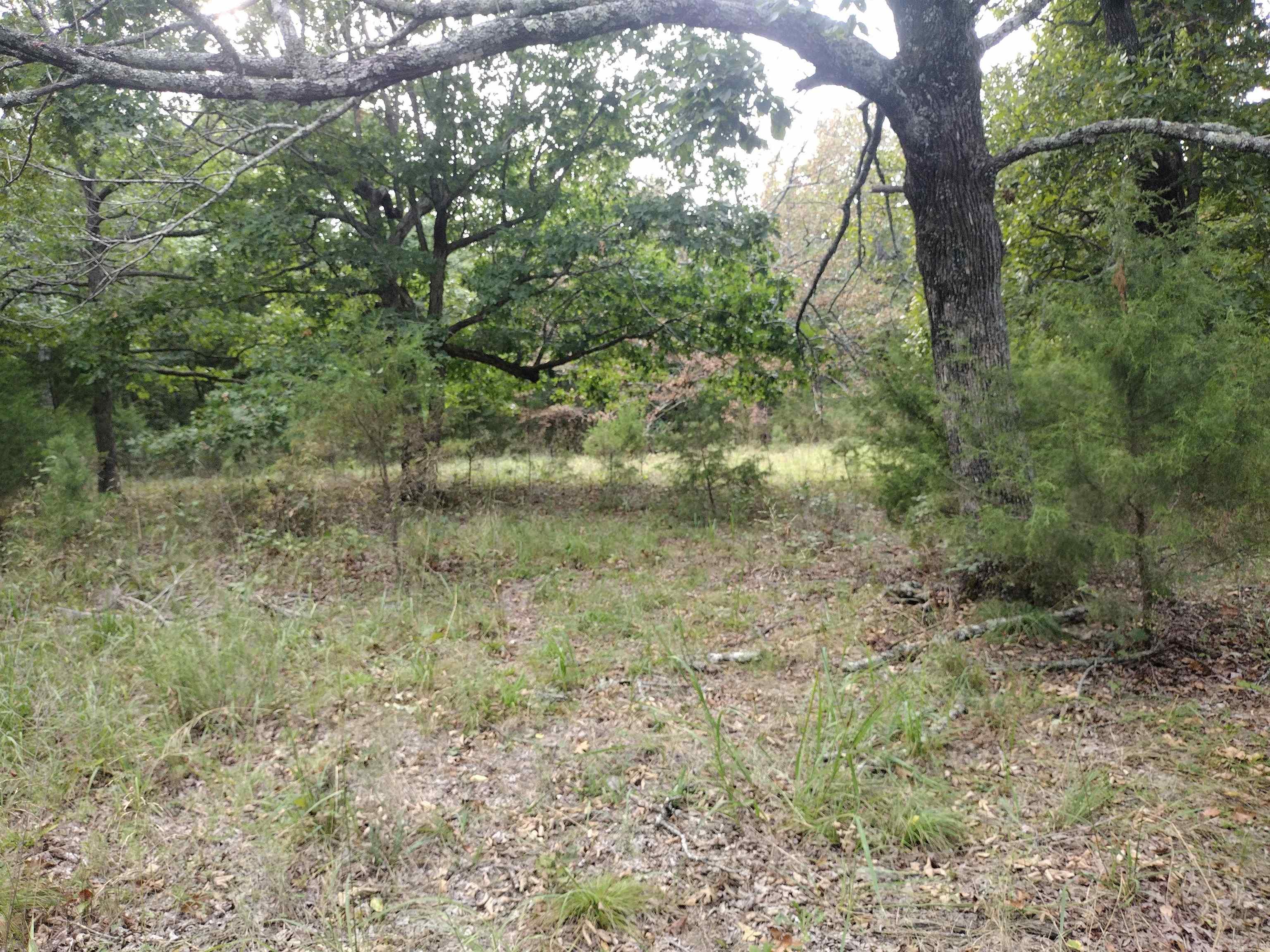 0 Shady Oak Dr Property Photo 9