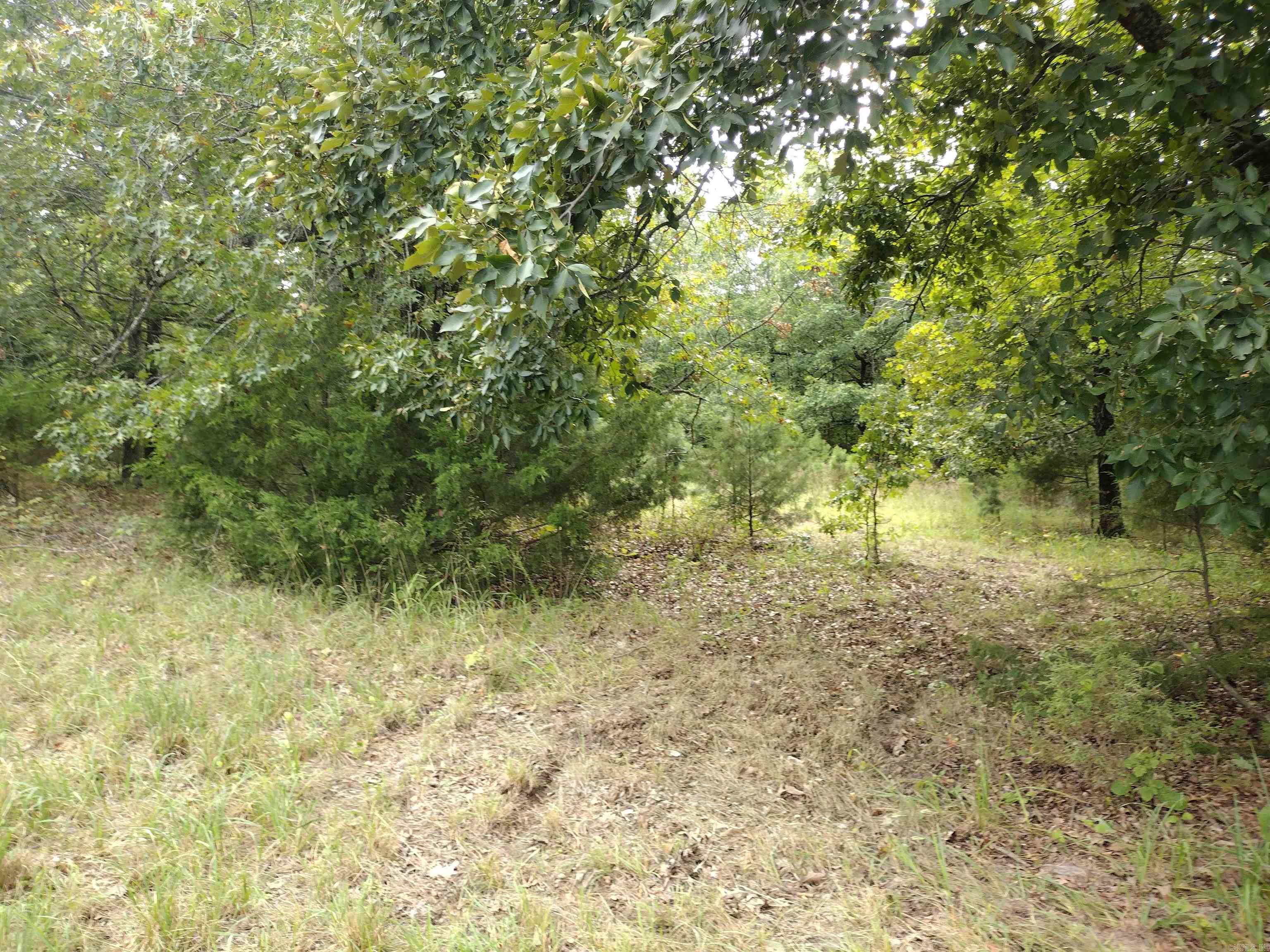 0 Shady Oak Dr Property Photo 16