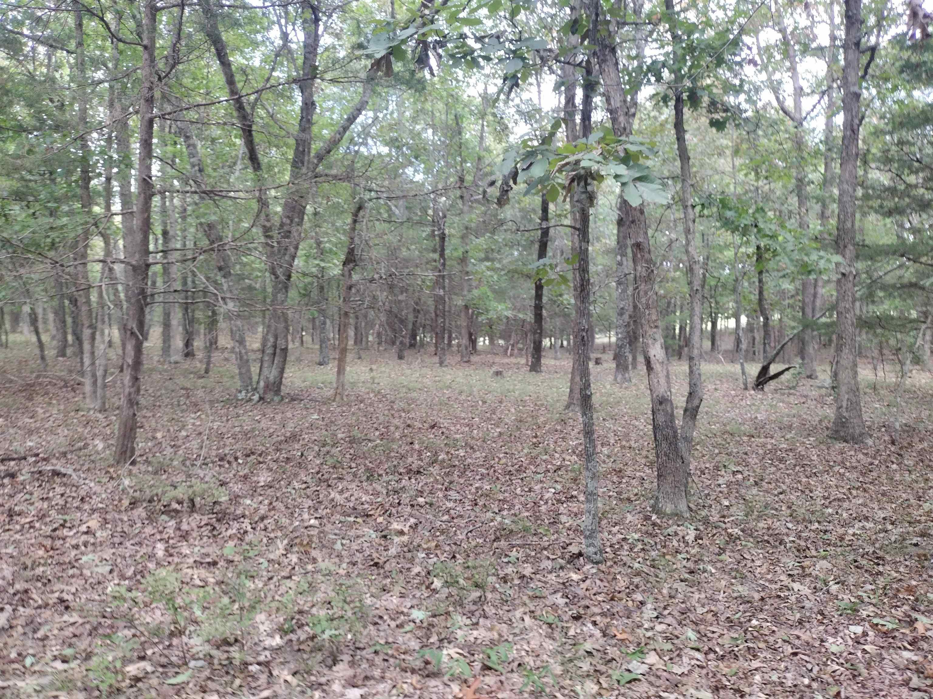 0 Shady Oak Dr Property Photo 20