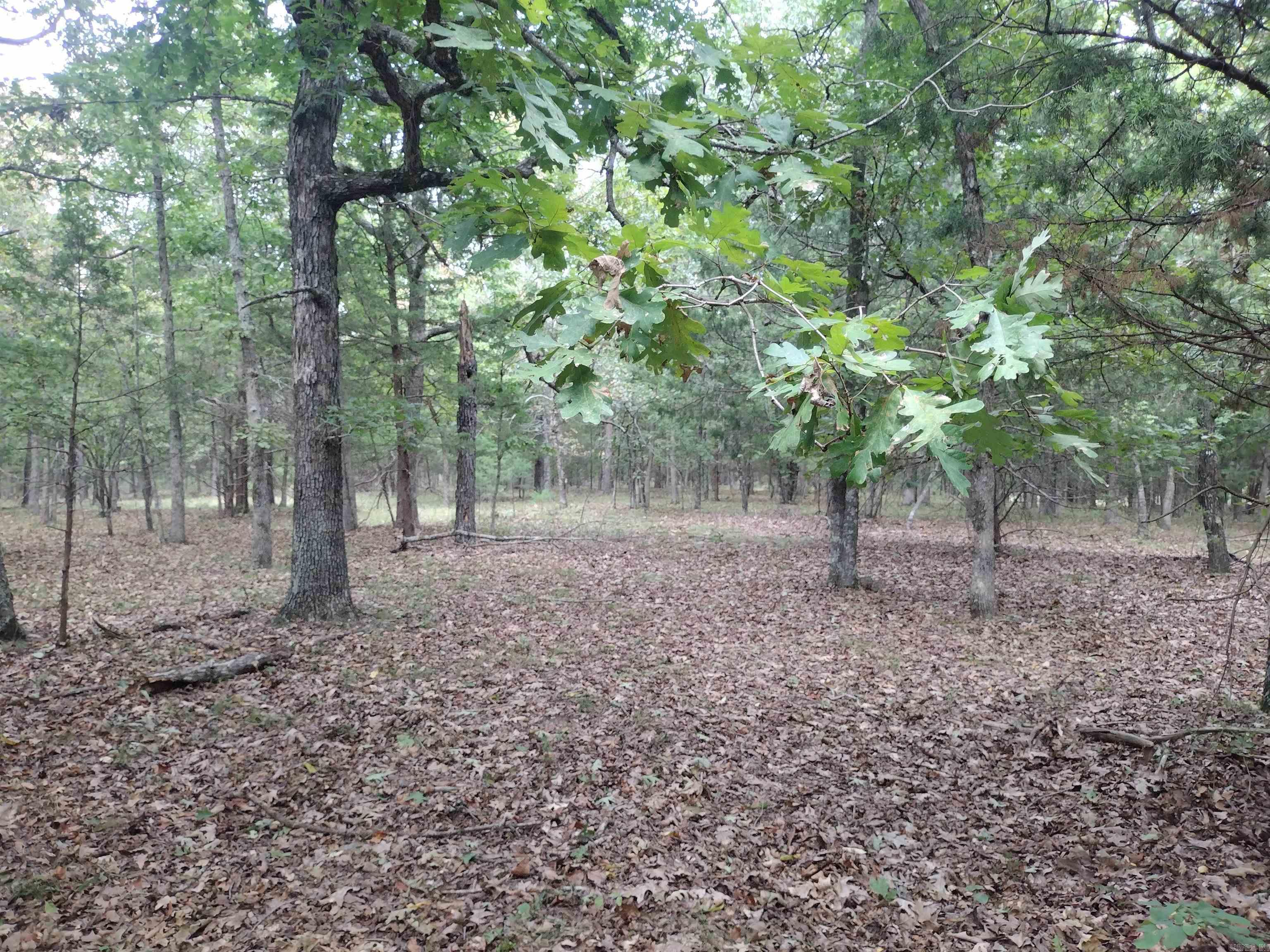 0 Shady Oak Dr Property Photo 21
