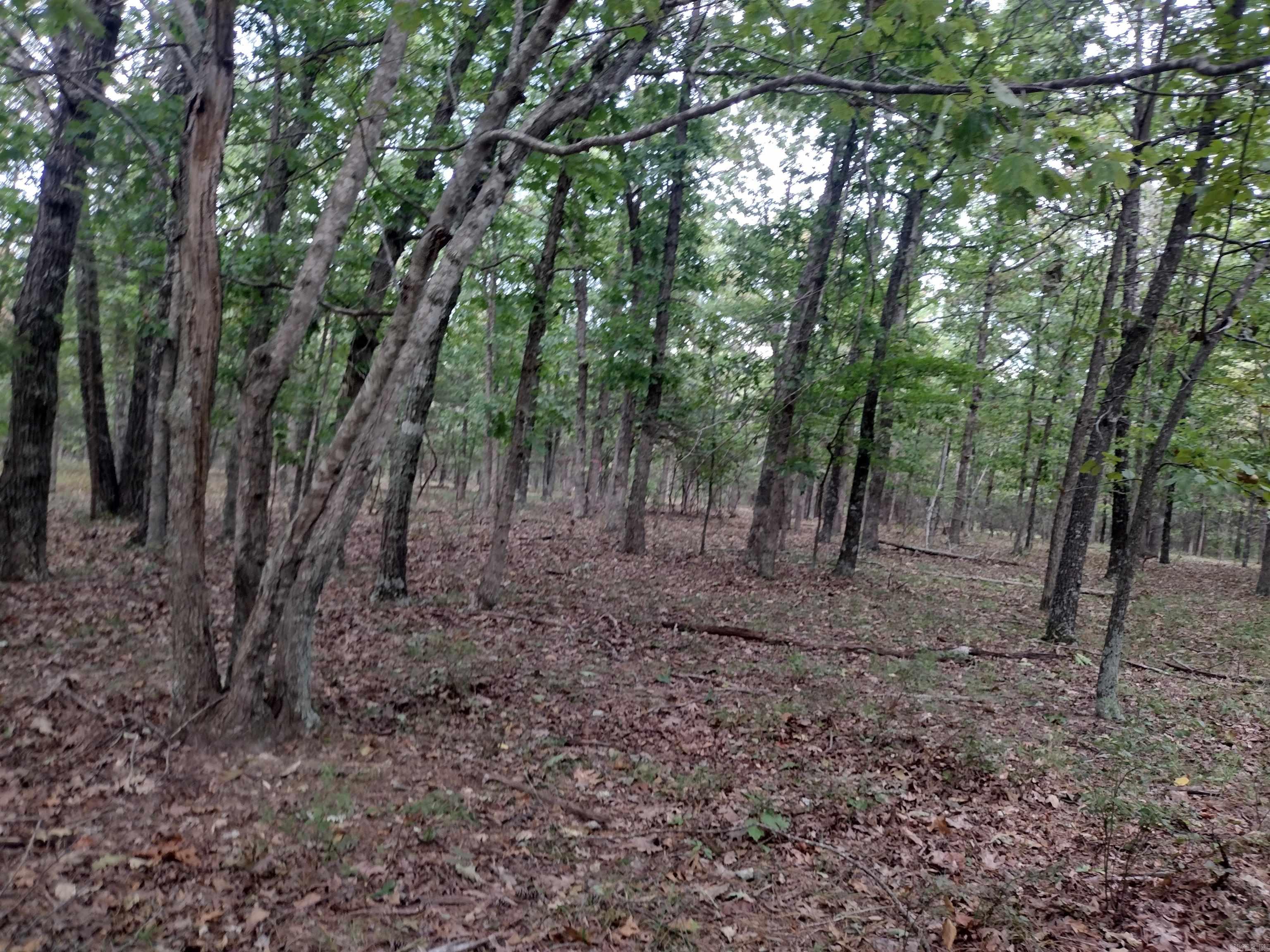 0 Shady Oak Dr Property Photo 22