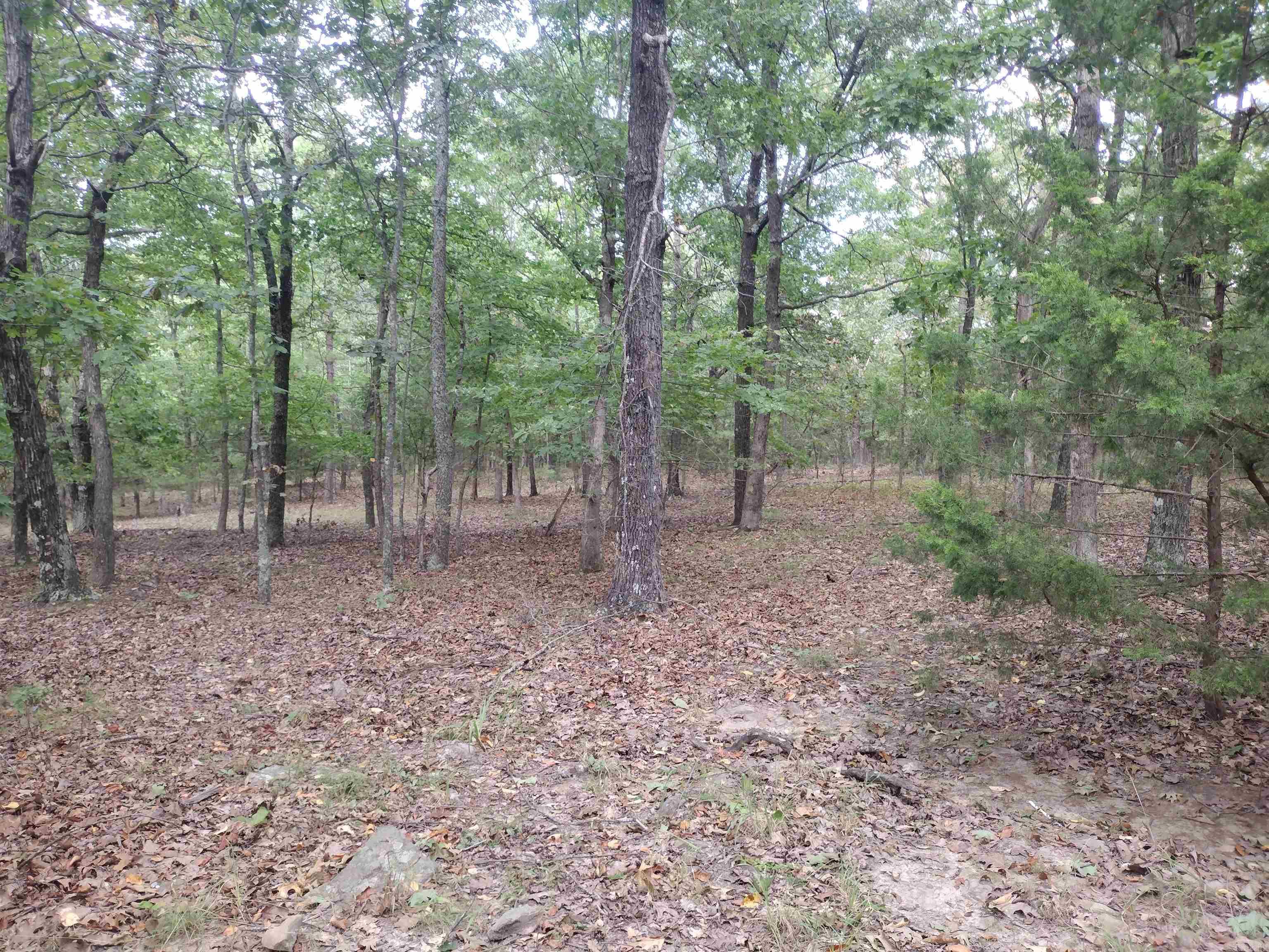 0 Shady Oak Dr Property Photo 23