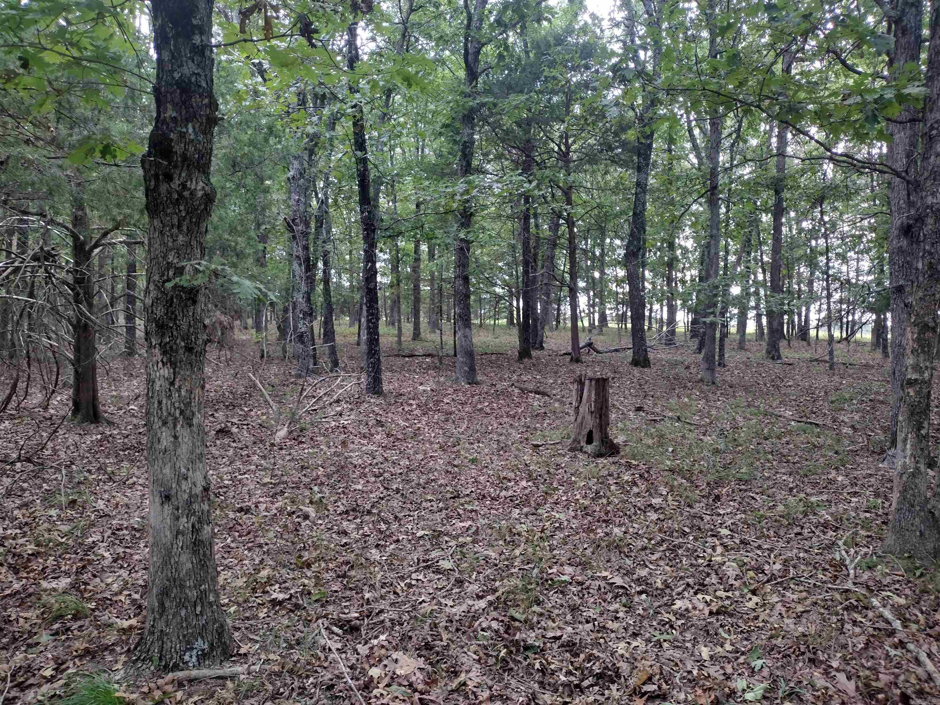 0 Shady Oak Dr Property Photo 25
