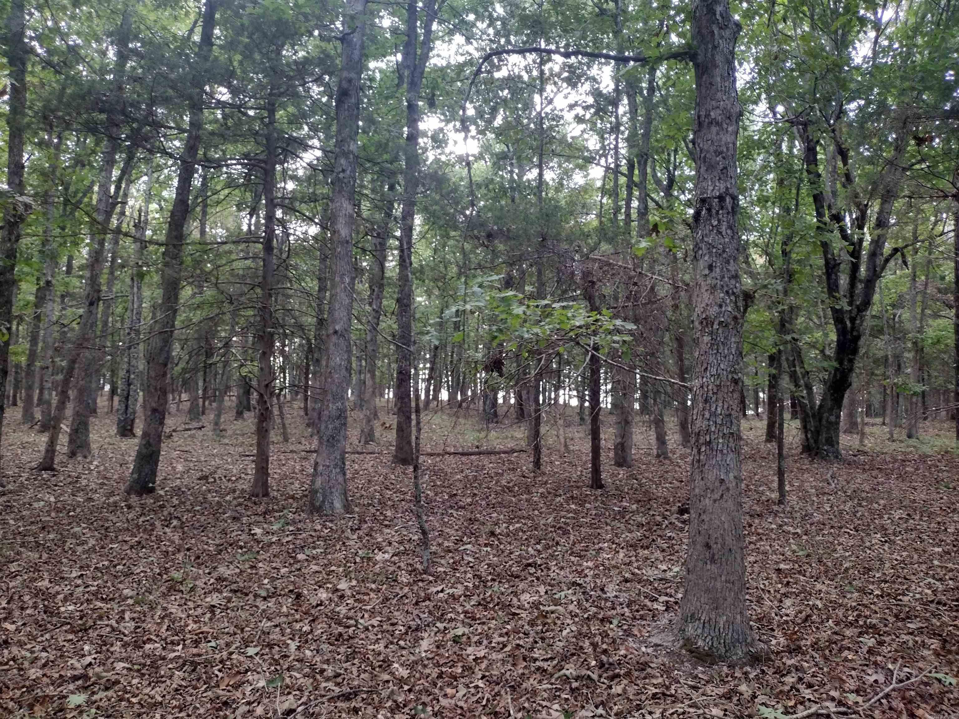 0 Shady Oak Dr Property Photo 26