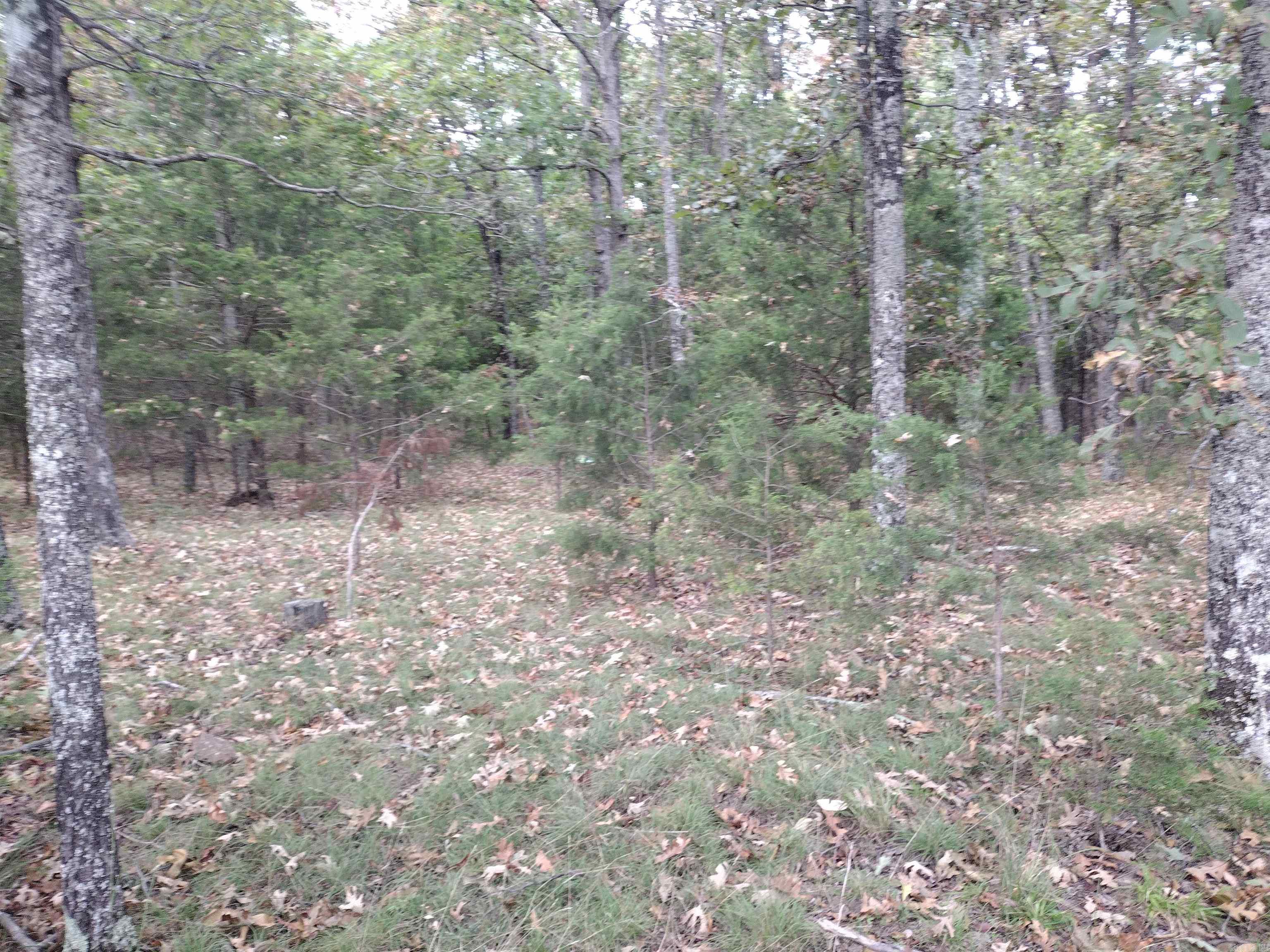 0 Shady Oak Dr Property Photo 28