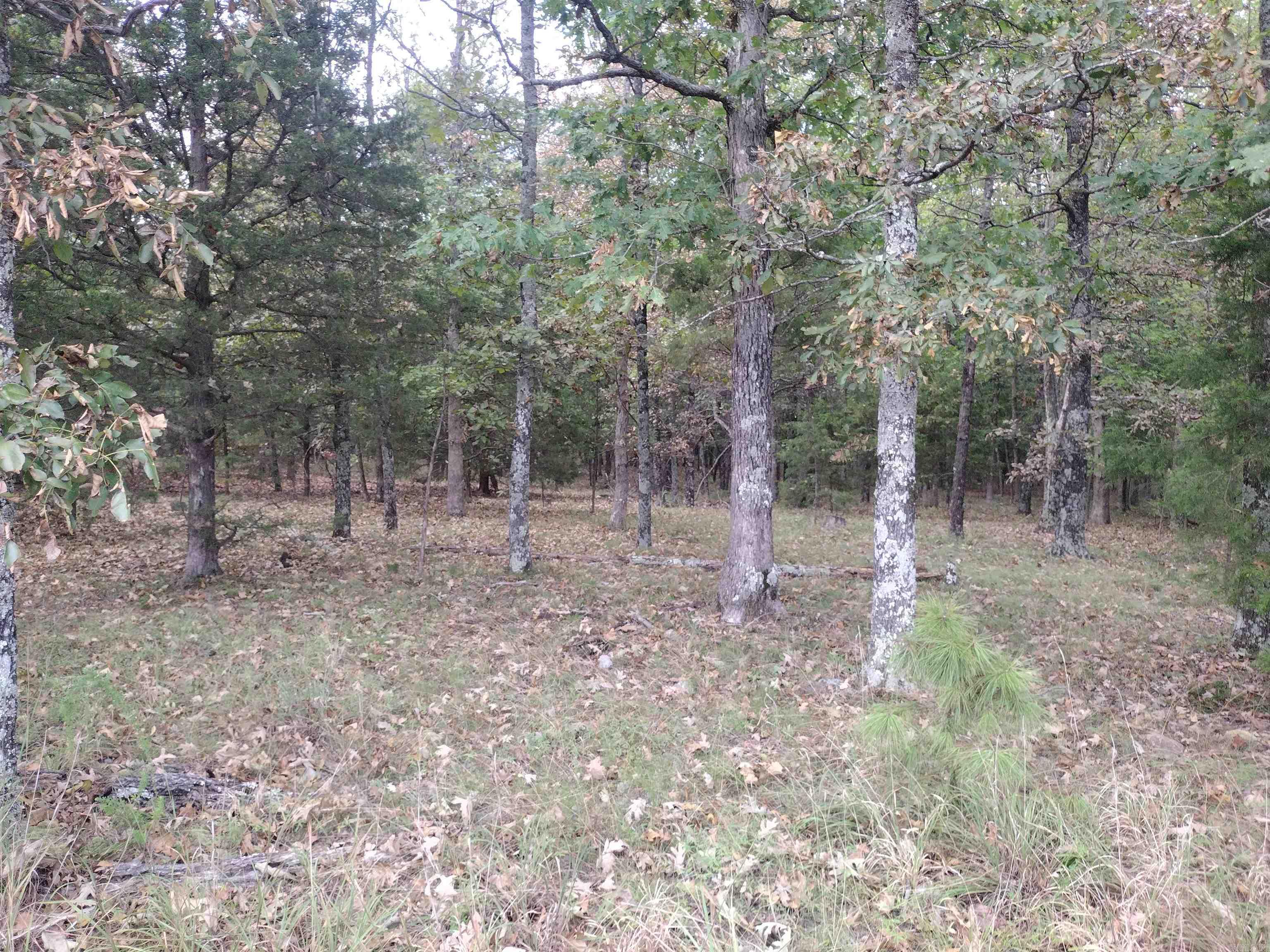 0 Shady Oak Dr Property Photo 29