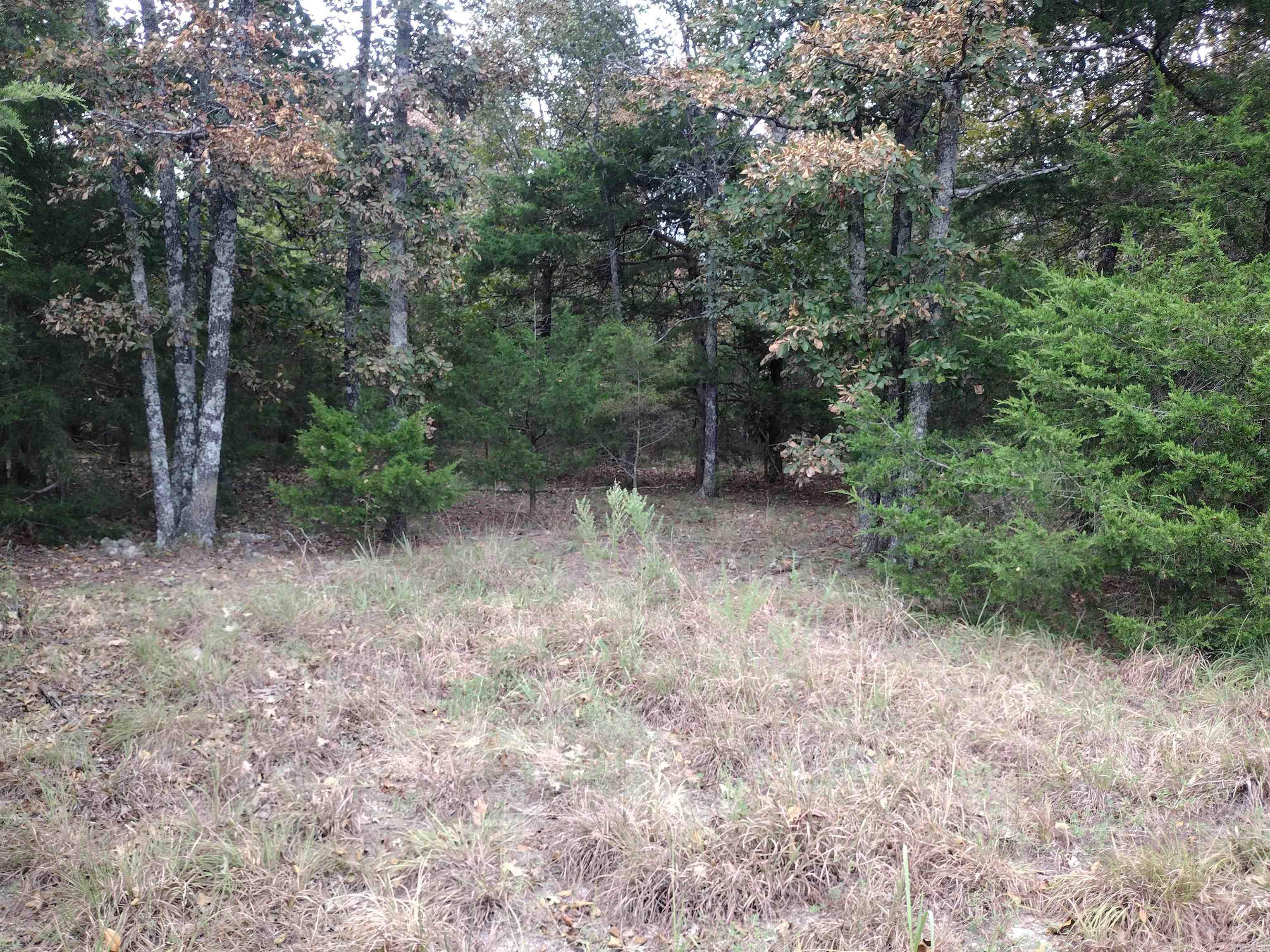 0 Shady Oak Dr Property Photo 30