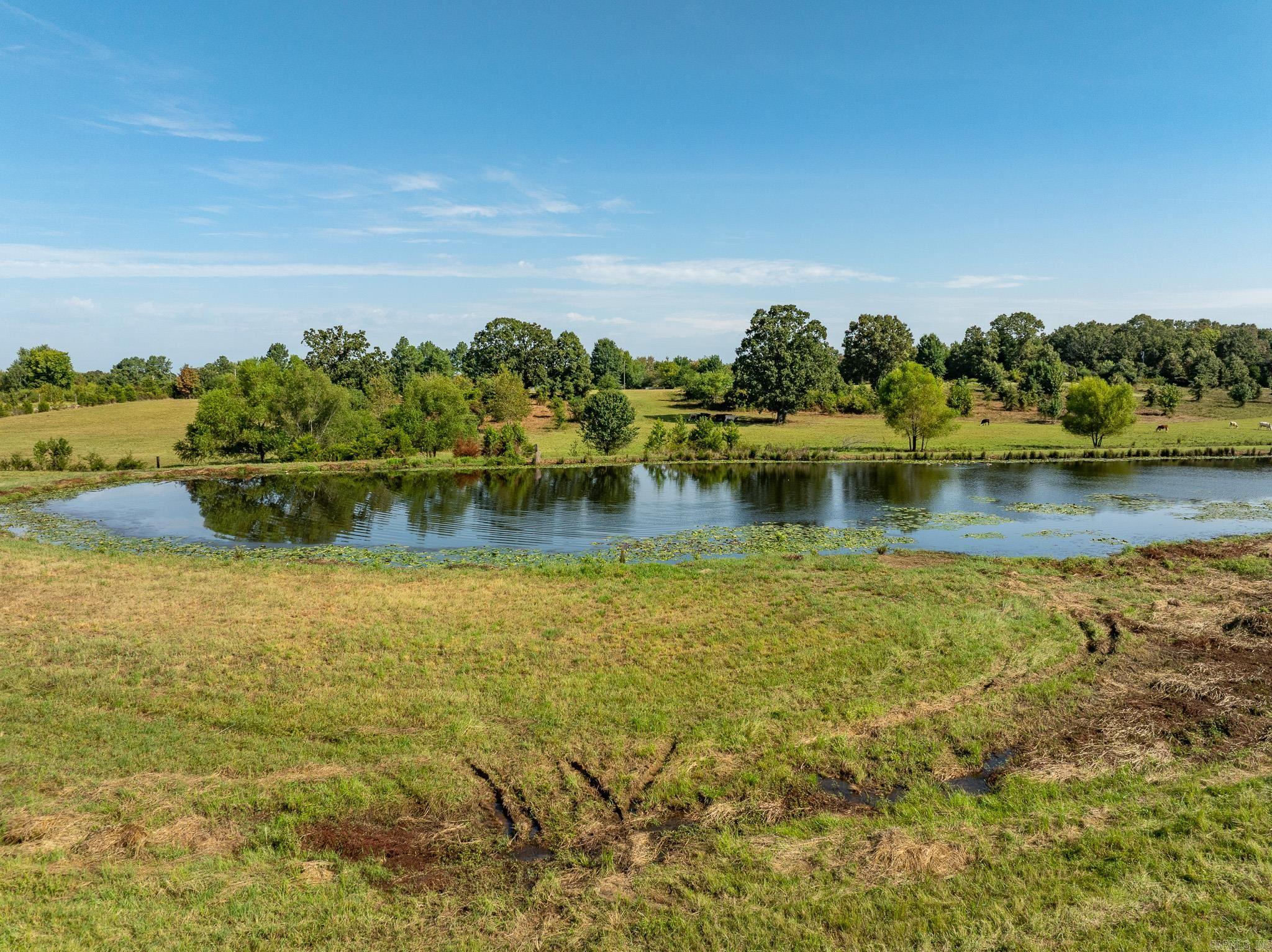 Tbd Dripping Springs Road Property Photo 16