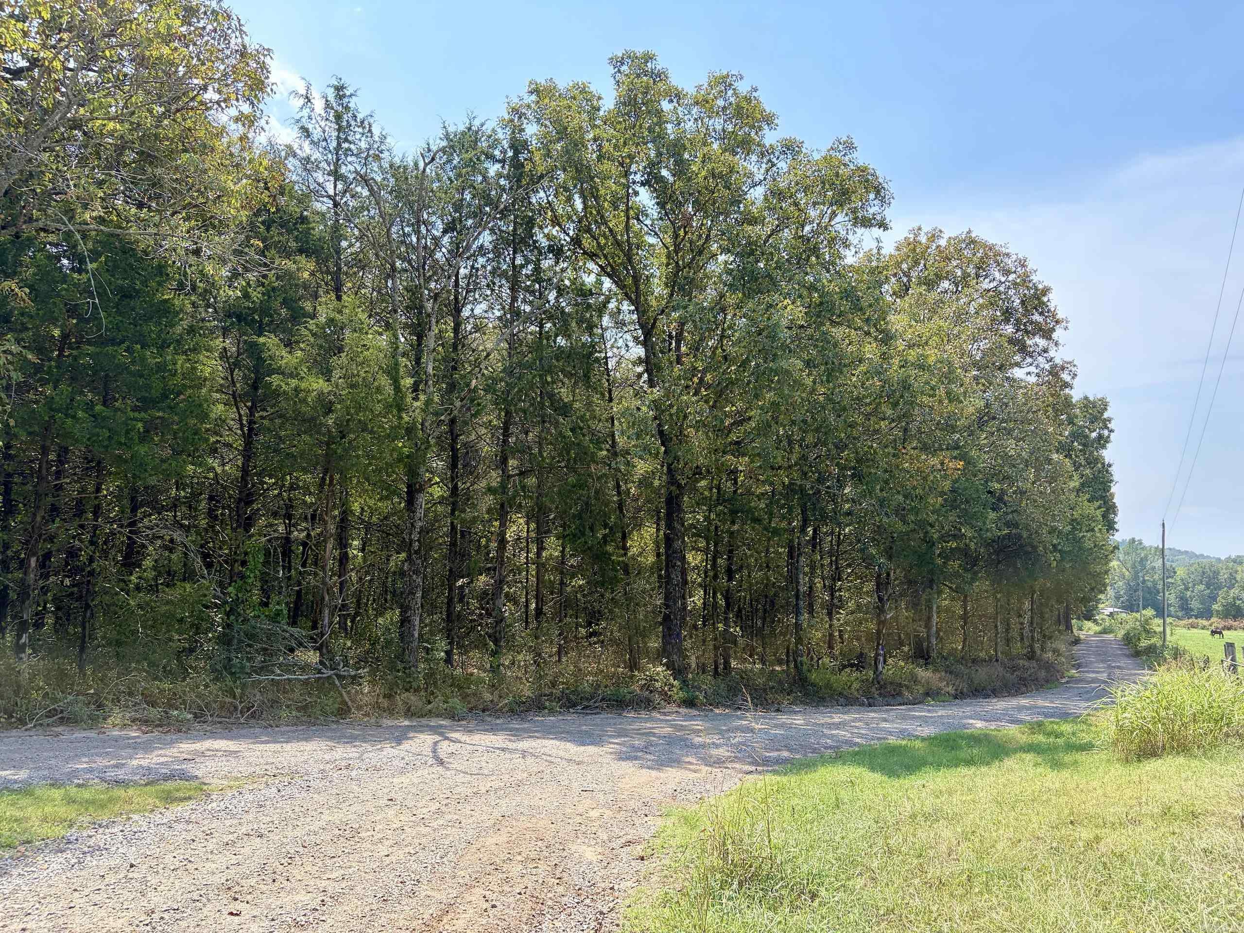 000 Cargill Road, Property Photo 15