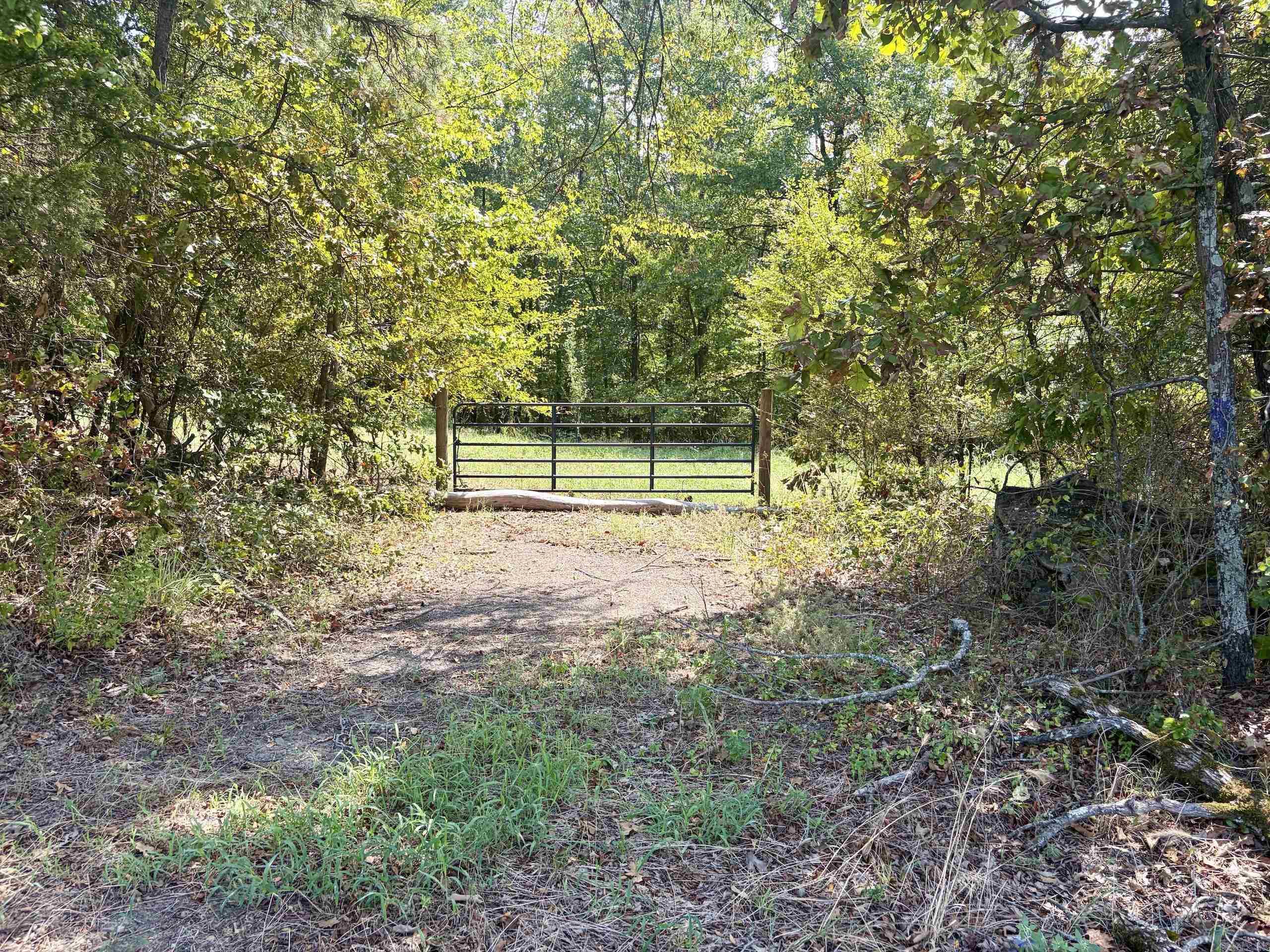 000 Cargill Road, Property Photo 17