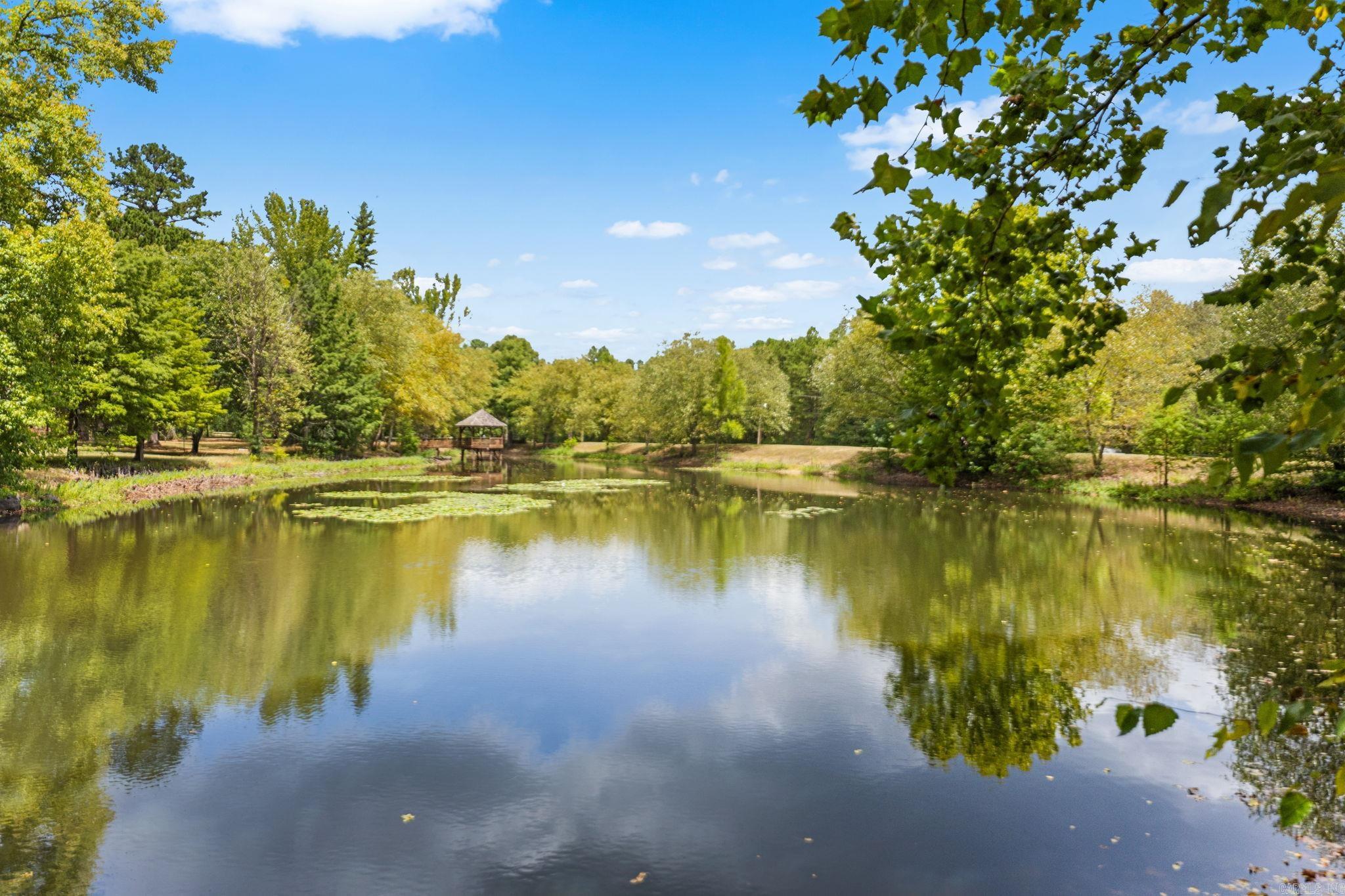 13717 Bringle Creek Road Property Photo 33