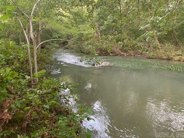 1602 Turkey Creek Road Property Photo 3