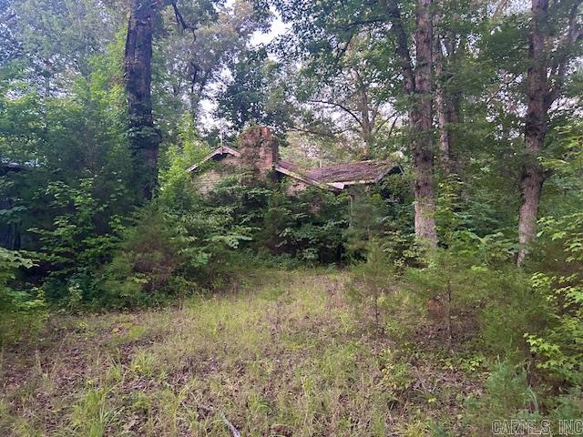 1602 Turkey Creek Road Property Photo 5