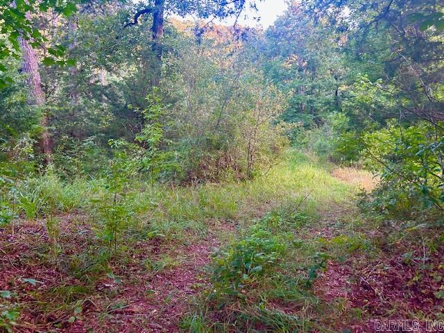1602 Turkey Creek Road Property Photo 15