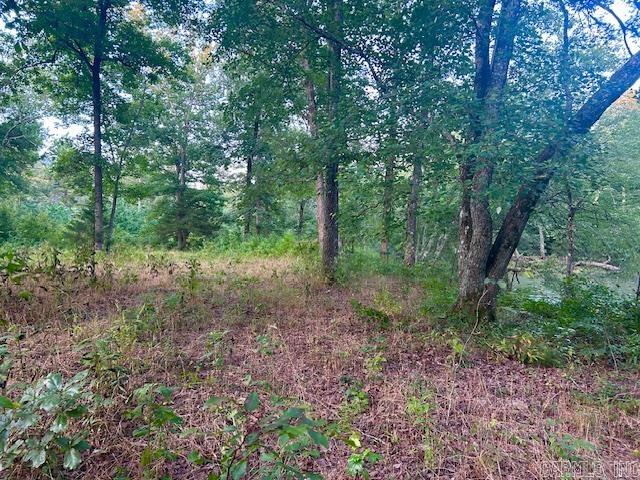1602 Turkey Creek Road Property Photo 16