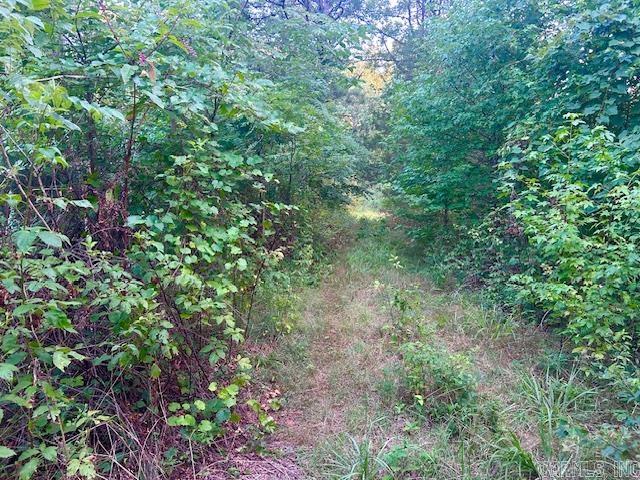 1602 Turkey Creek Road Property Photo 17