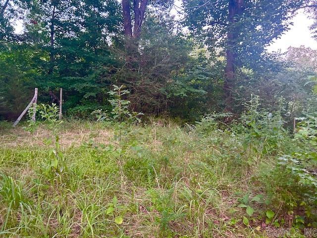 1602 Turkey Creek Road Property Photo 18