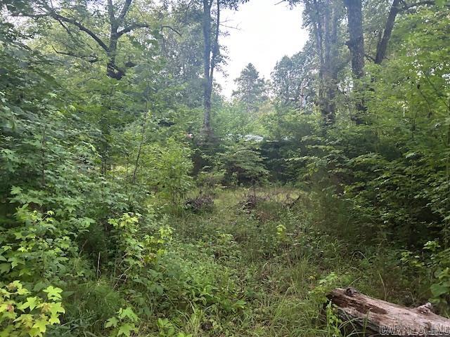 1602 Turkey Creek Road Property Photo 19