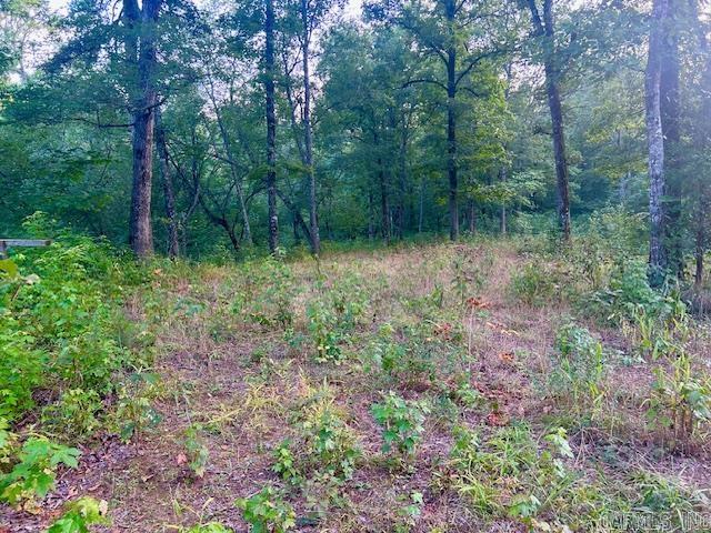 1602 Turkey Creek Road Property Photo 20