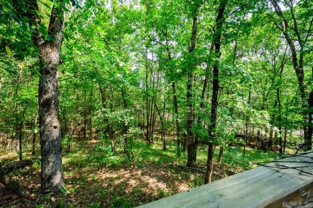 443 Polk 46 Road Property Photo 13
