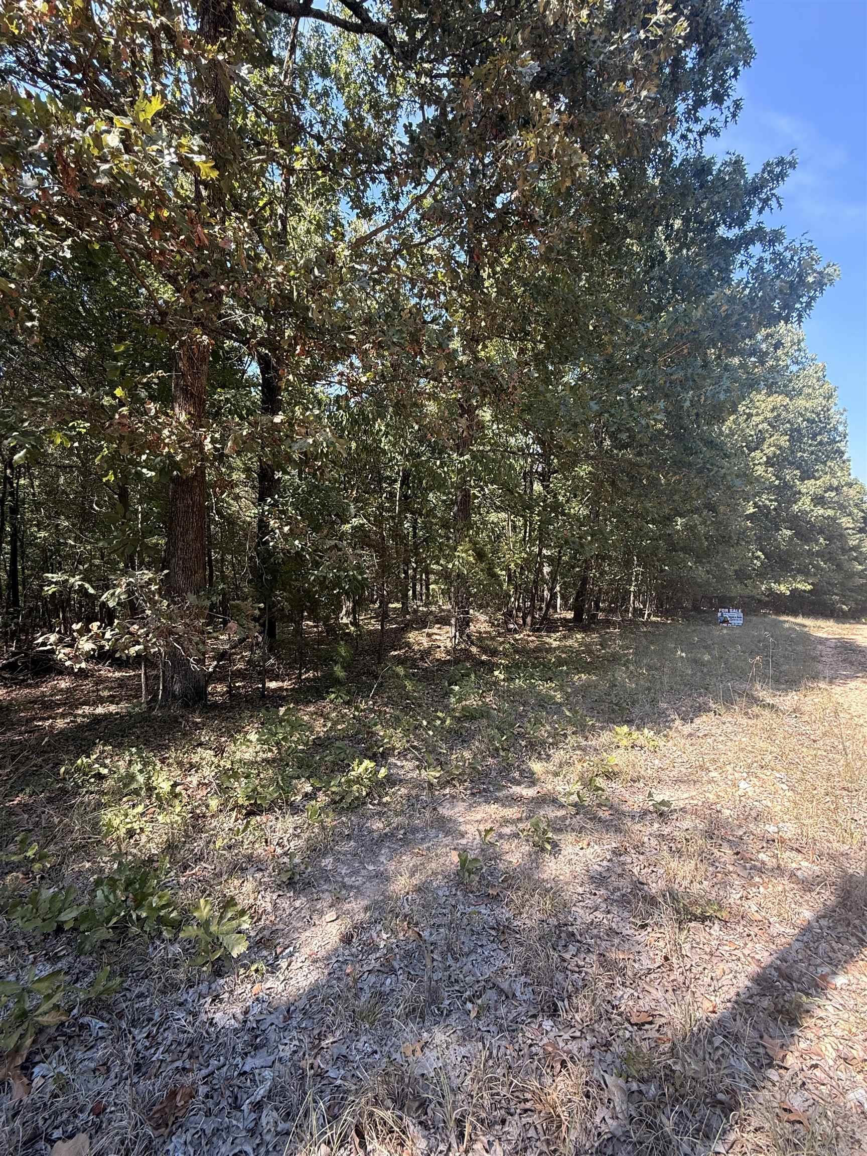 Greene 7614 Rd Property Photo 3