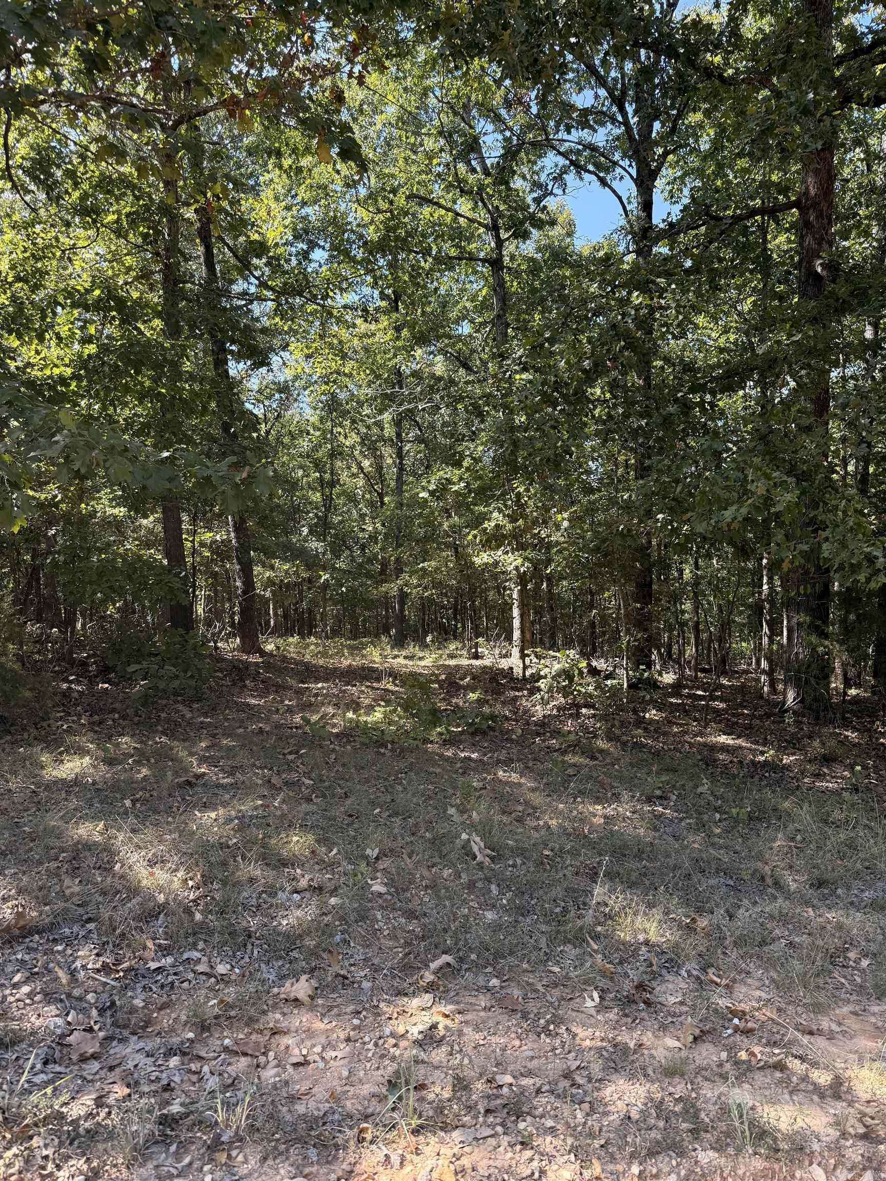 Greene 7614 Rd Property Photo 6